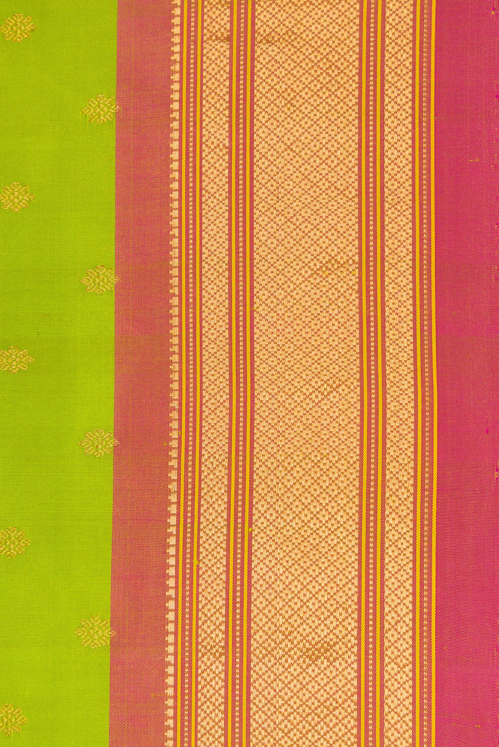 Border image of Parrot Green Dual Tone Paithani Silk Saree with Zari Butta on the body and Zari Border. 