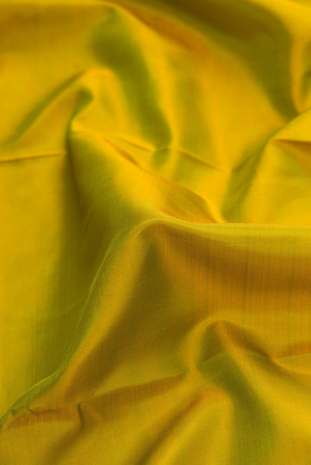 Close up of Green Dual Tone Kanjivaram Silk Saree with Plain Body and Zari Border.  displaying folds
