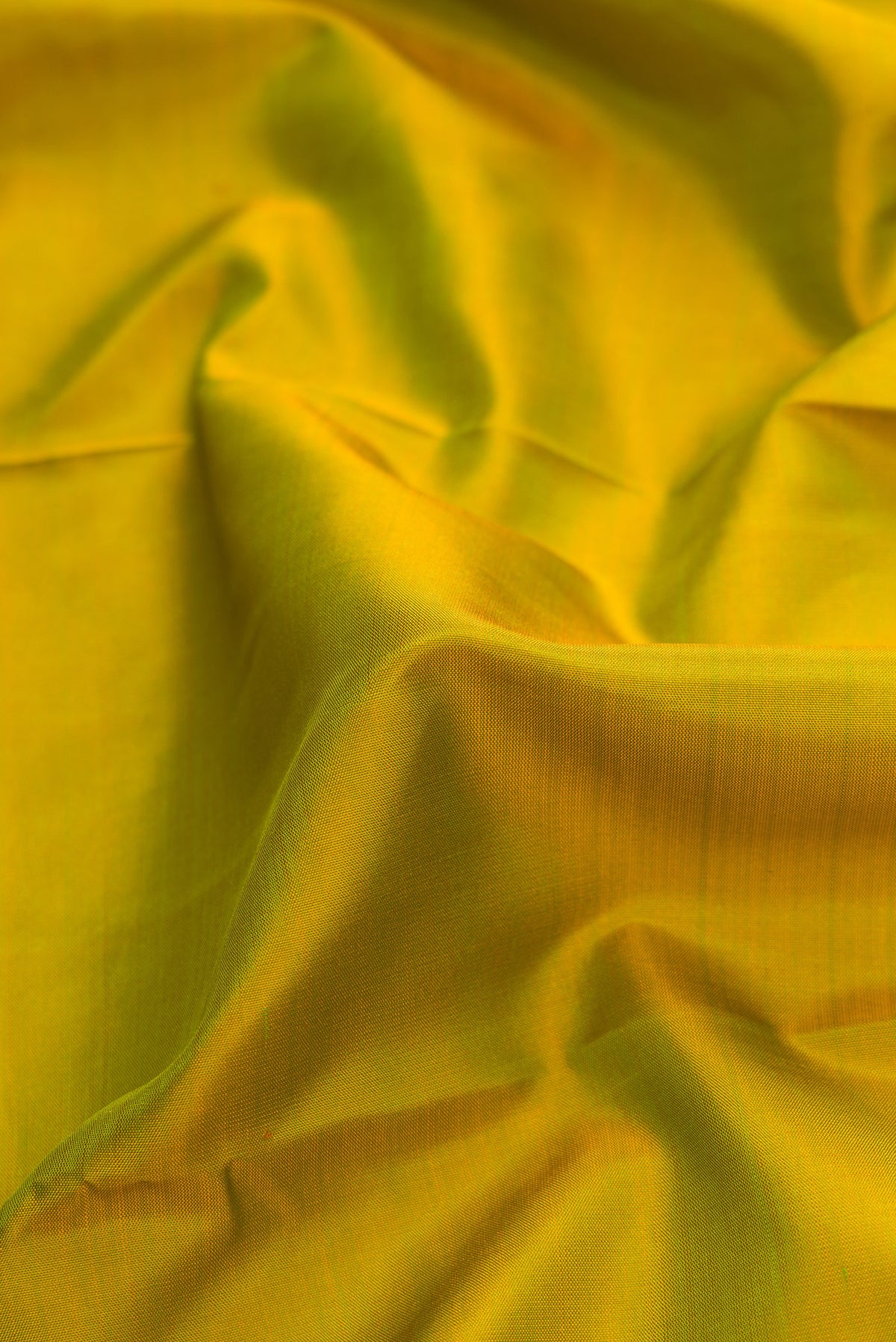 Close up of Green Dual Tone Kanjivaram Silk Saree with Plain Body and Zari Border.  displaying folds