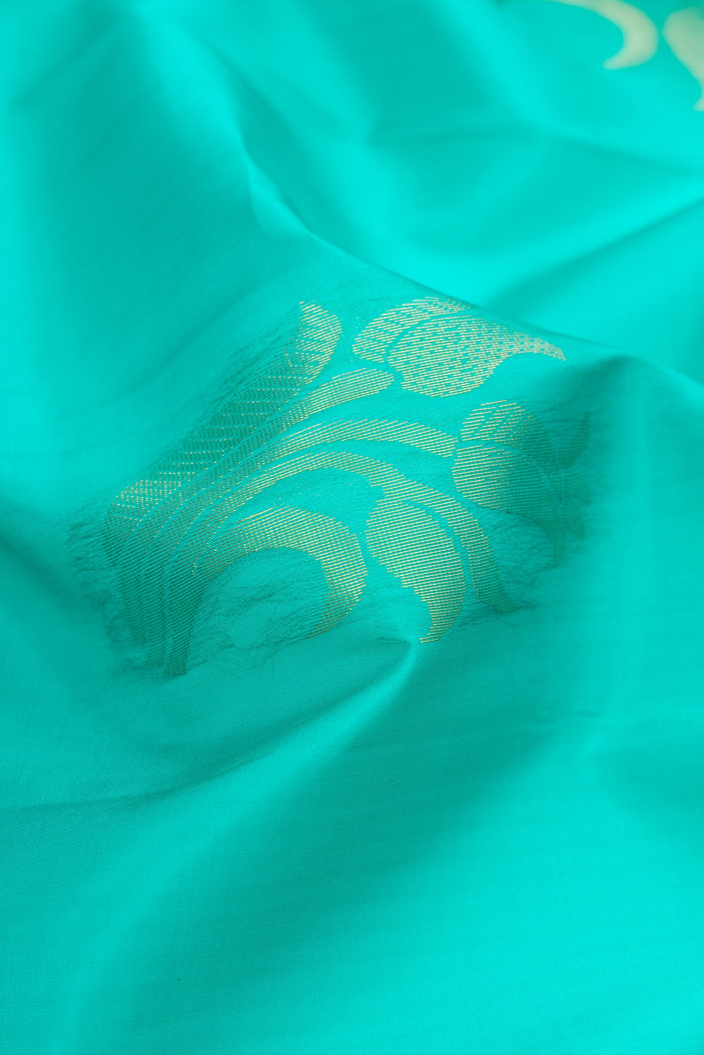 Close up of Sea Green Soft Silk Saree with Zari Butta on the body and Fancy Border.  displaying folds