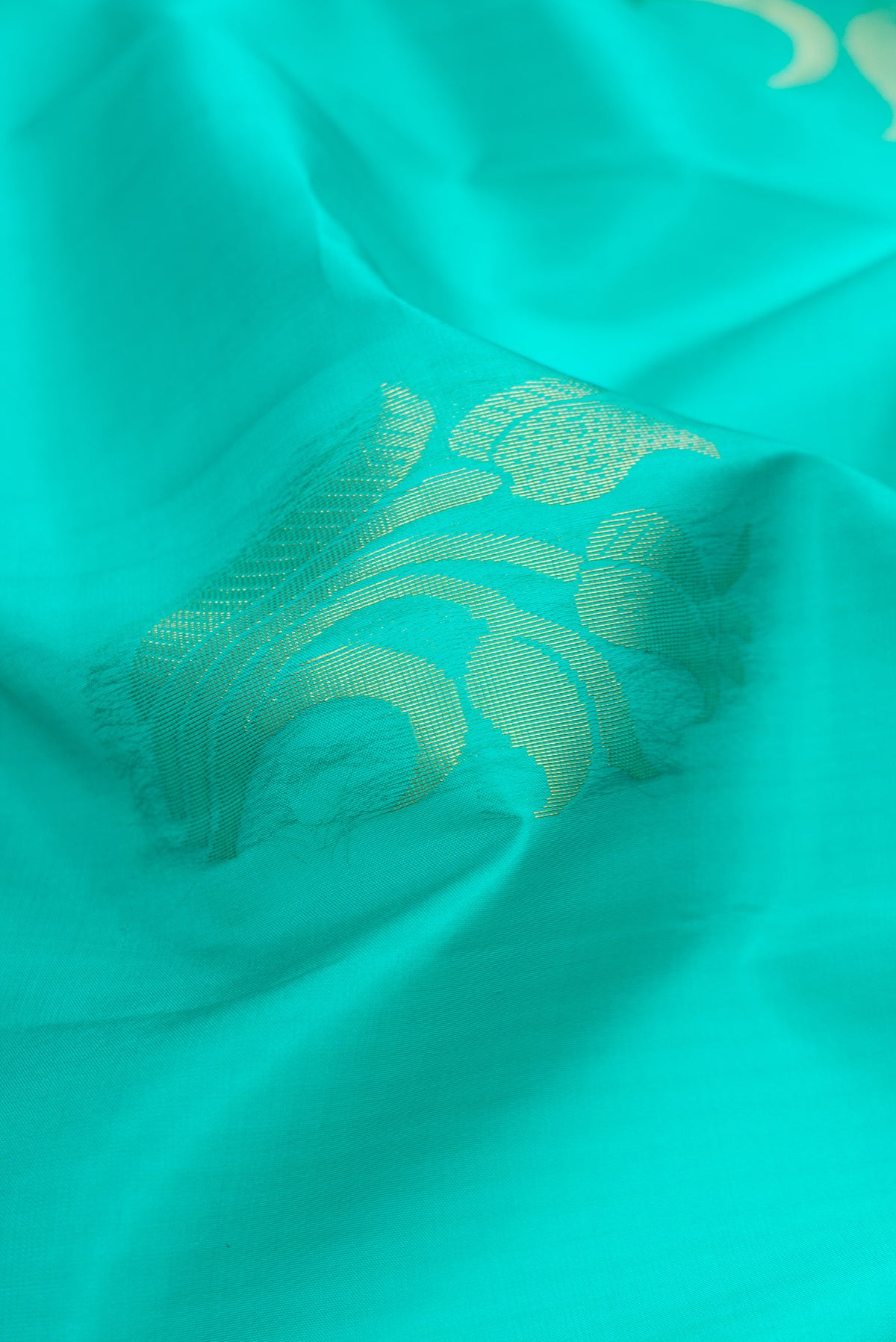 Close up of Sea Green Soft Silk Saree with Zari Butta on the body and Fancy Border.  displaying folds