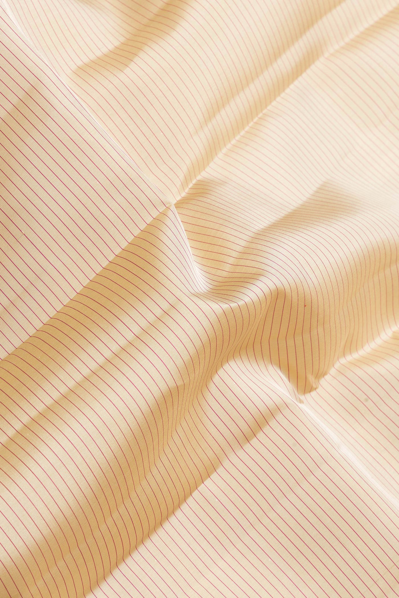 Close up of Beige Dual Tone Kanchipuram Silk Saree with Stripes on the body and Zari Border.  displaying folds