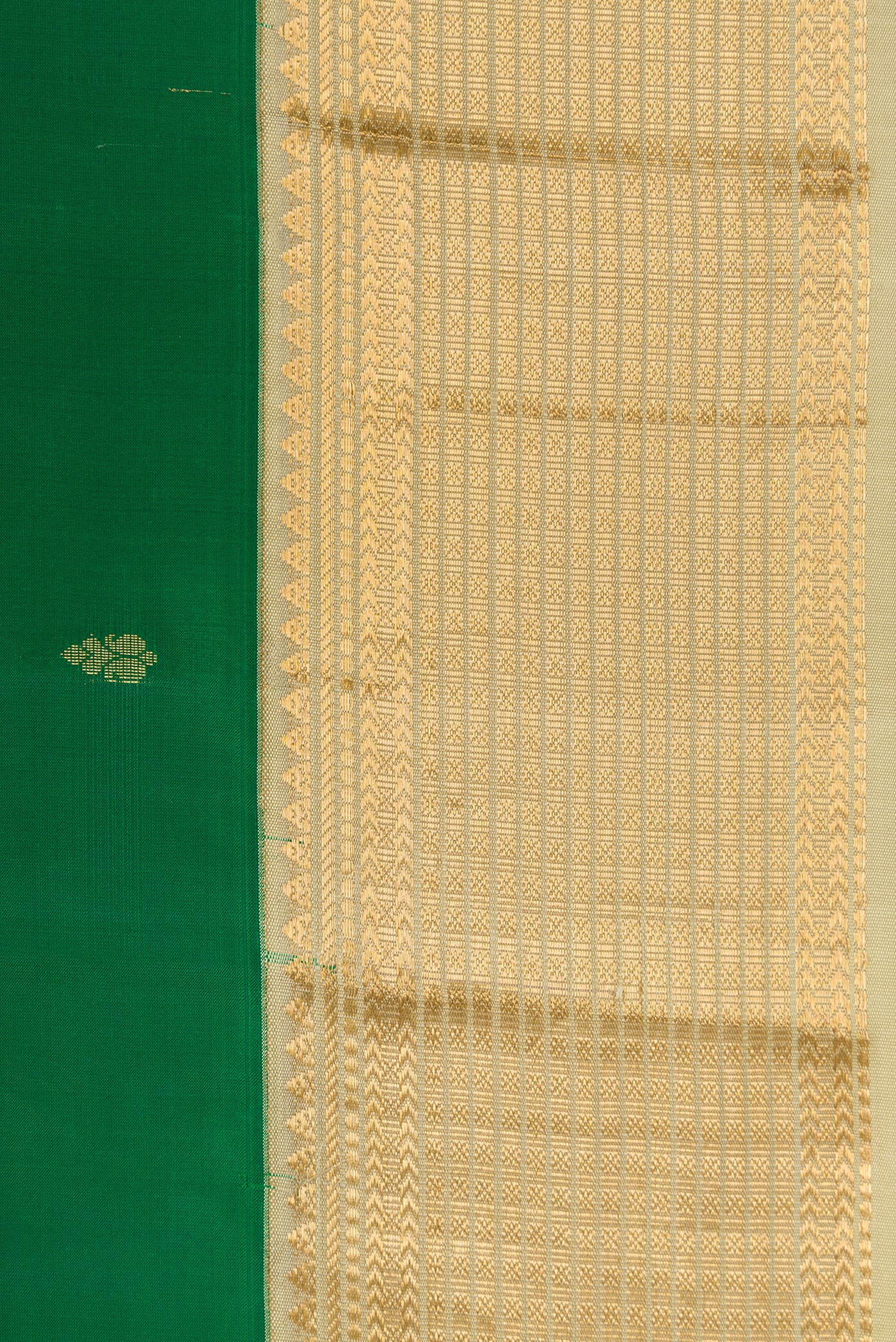 Border image of Green Dual Tone Kanchipuram Silk Saree with Zari Butta on the body and Zari Border. 