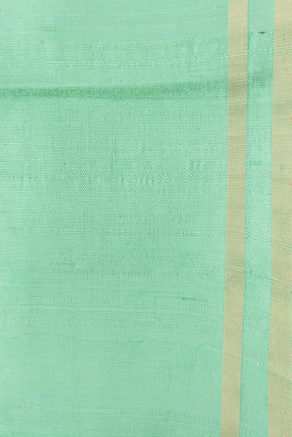 Border image of Pista Green Dual Tone Raw Silk Saree with Plain Body and Zari Border. 