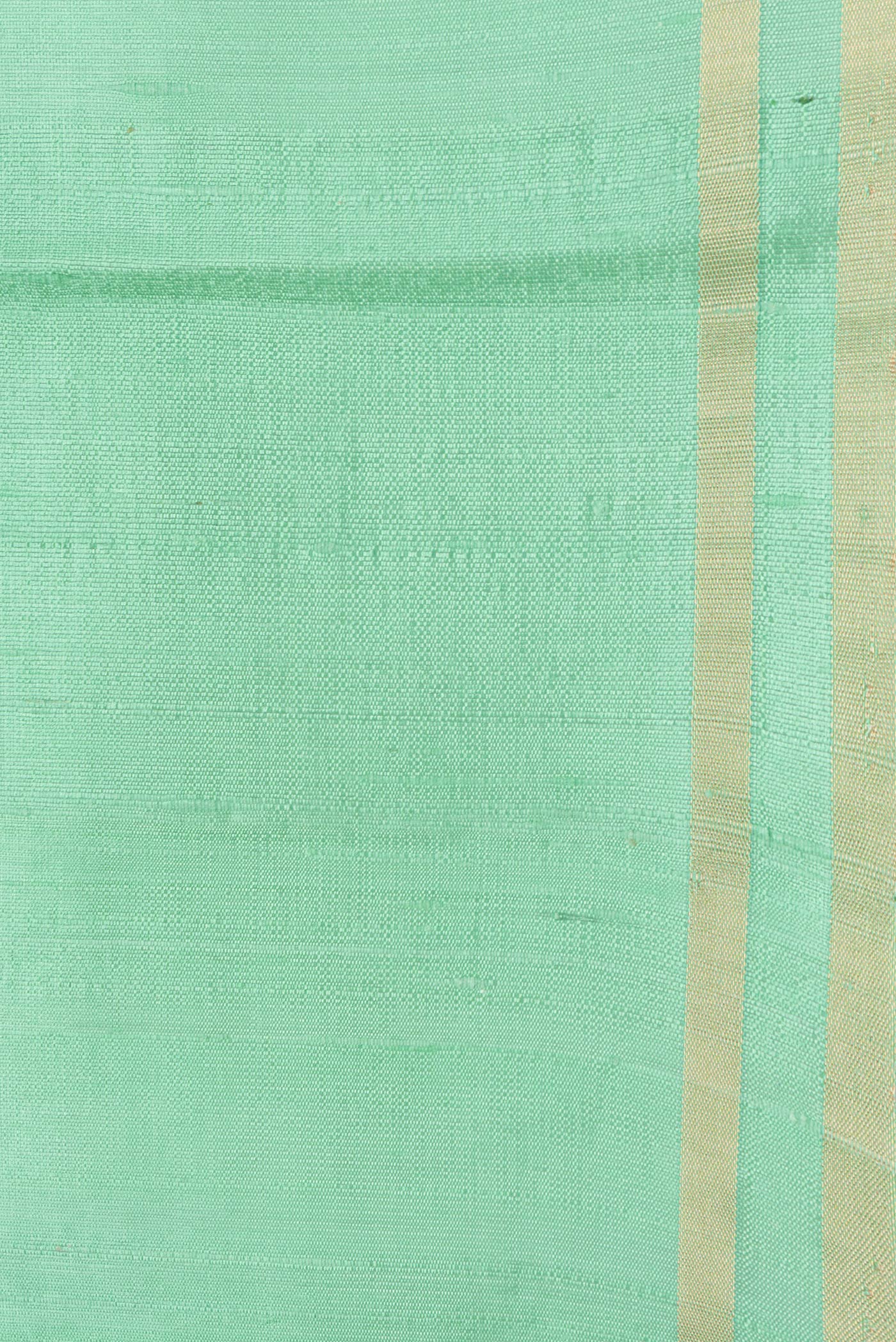 Border image of Pista Green Dual Tone Raw Silk Saree with Plain Body and Zari Border. 