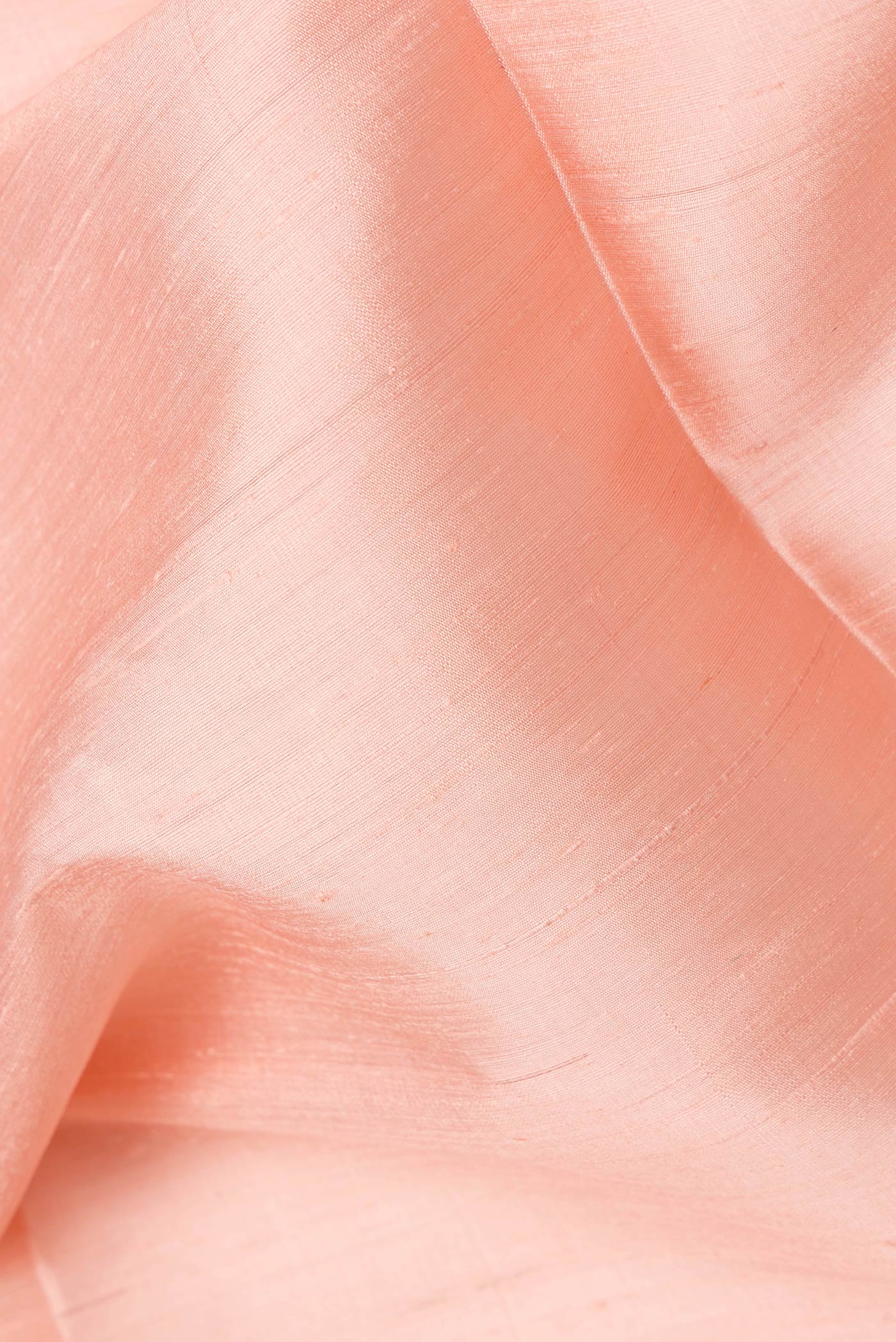 Close up of Golden Peach Dual Tone Raw Silk Saree with Plain Body and Zari Border.  displaying folds