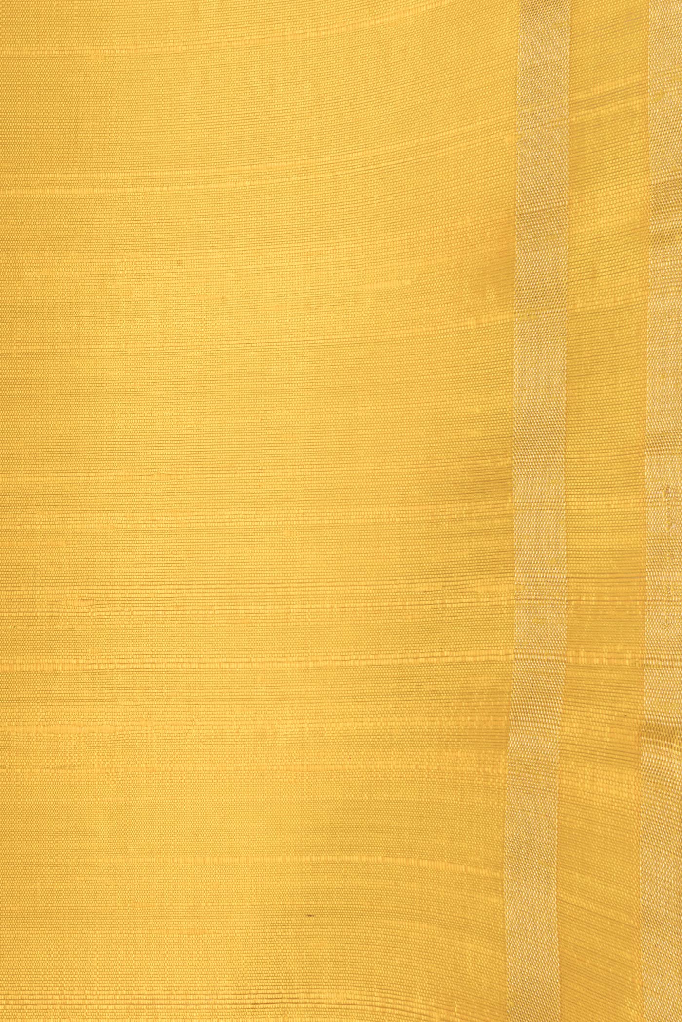 Border image of Yellow Dual Tone Raw Silk Saree with Plain Body and Zari Border. 