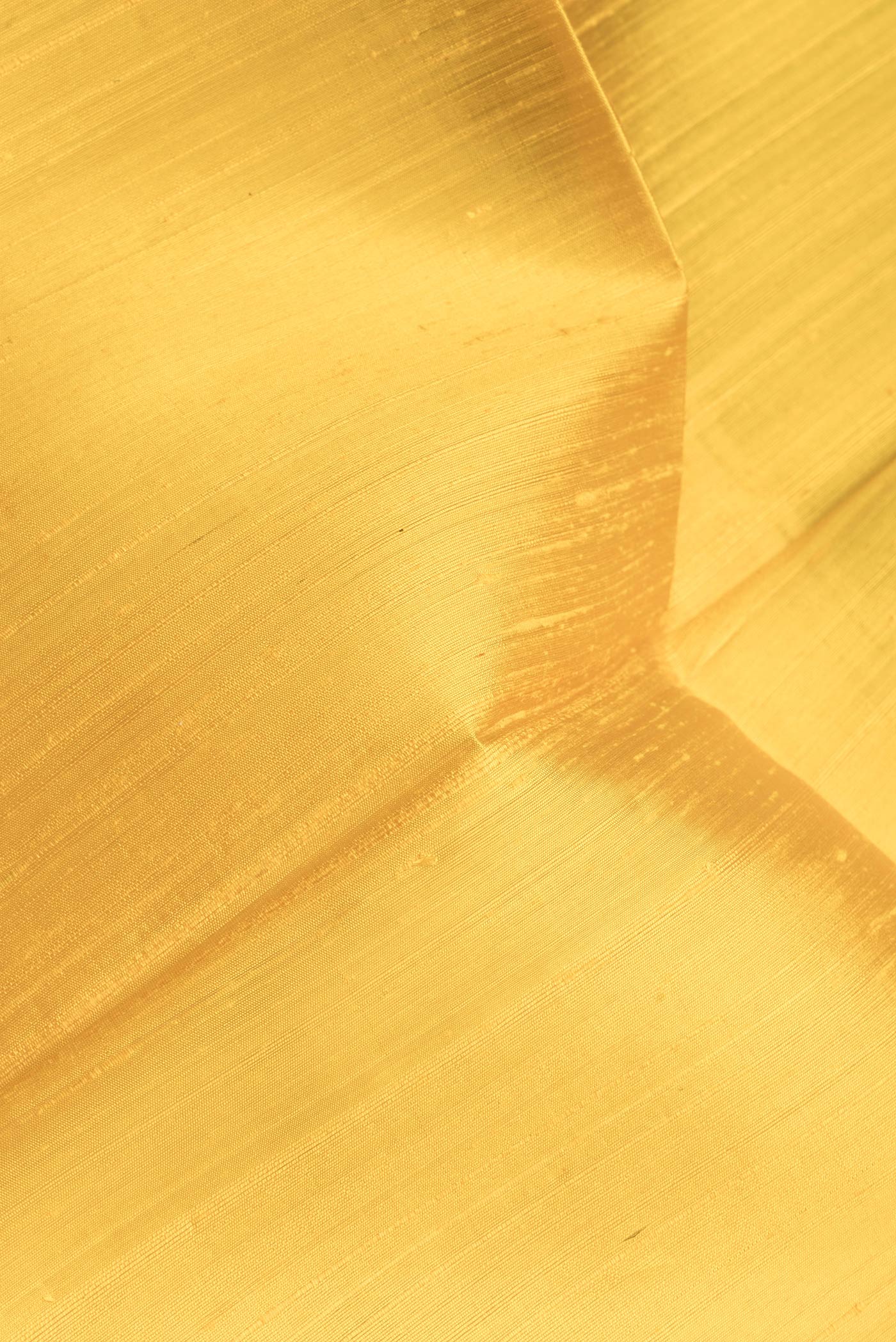 Close up of Yellow Dual Tone Raw Silk Saree with Plain Body and Zari Border.  displaying folds