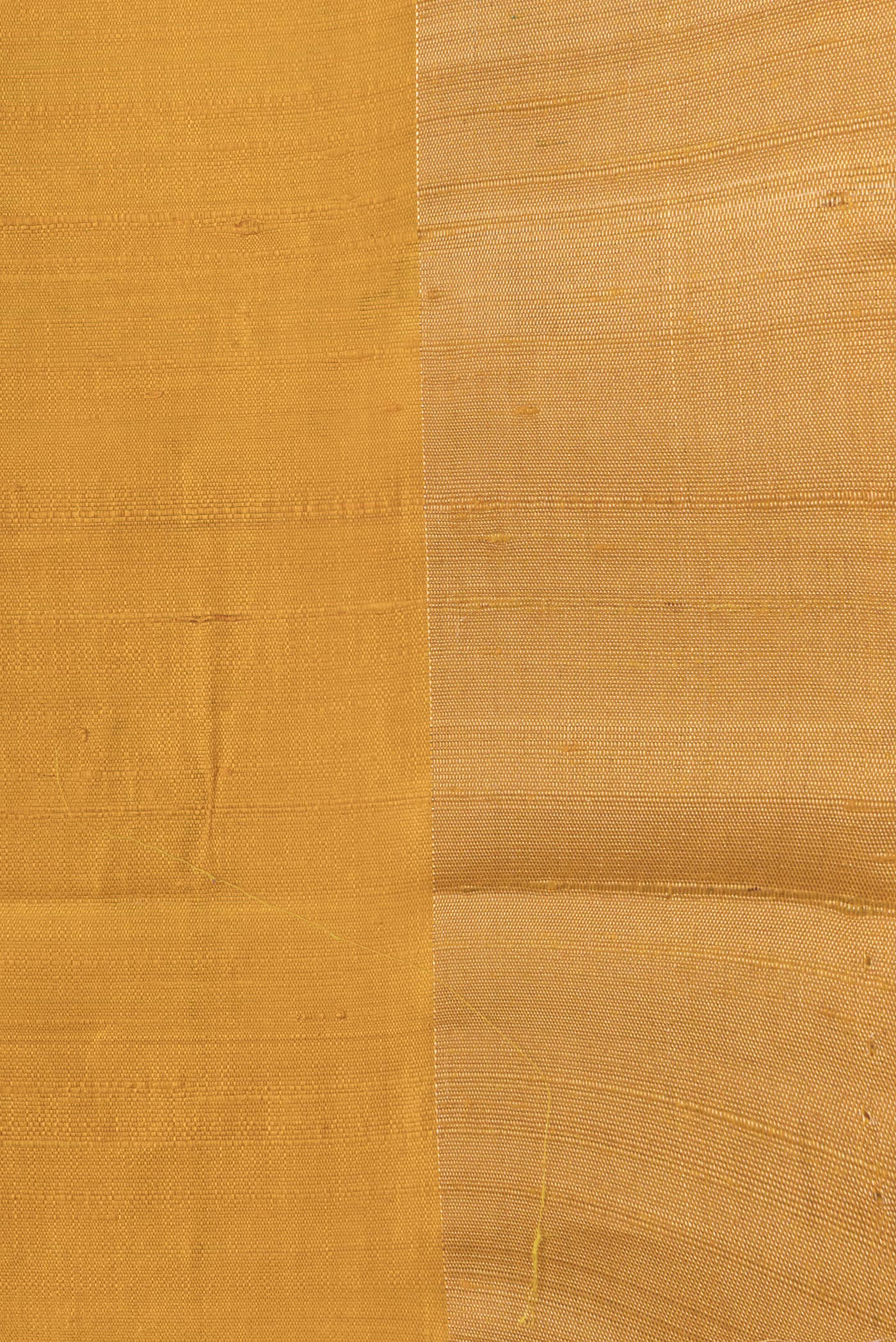 Border image of Mustard Dual Tone Raw Silk Saree with Plain Body and Fancy Border. 
