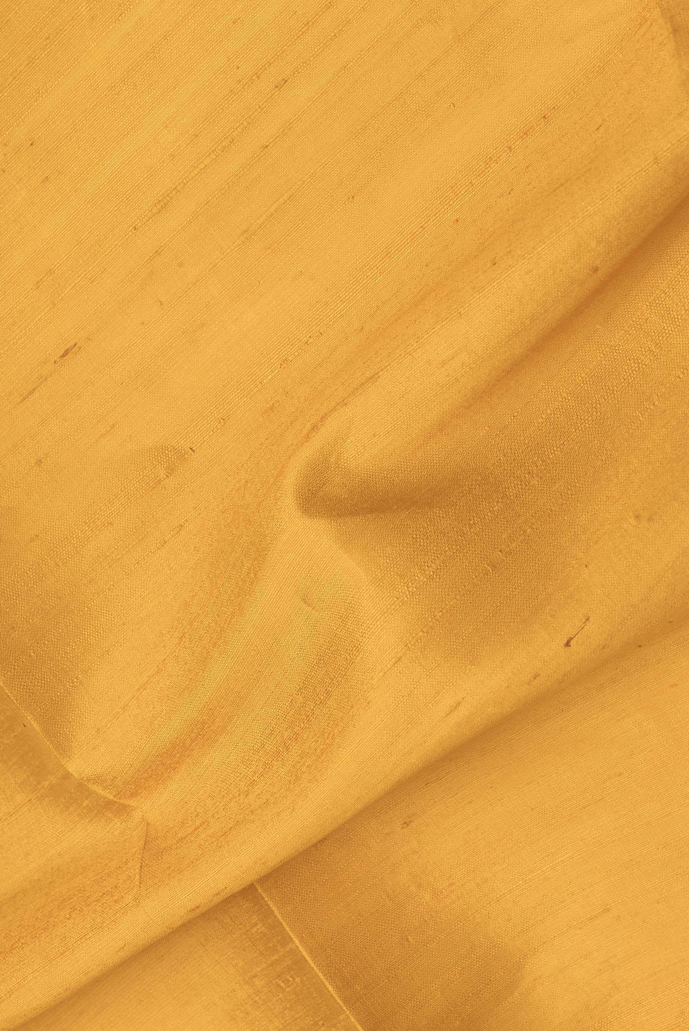 Close up of Mustard Dual Tone Raw Silk Saree with Plain Body and Fancy Border.  displaying folds