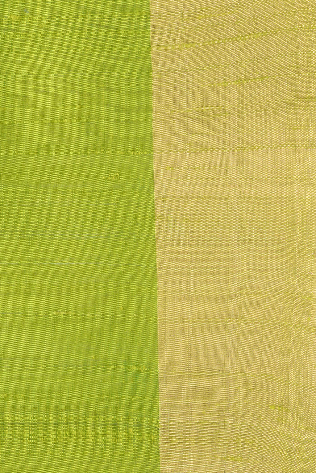 Border image of Parrot Green Dual Tone Raw Silk Saree with Plain Body and Zari Border. 