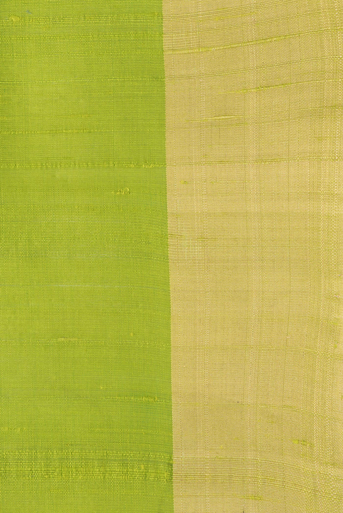 Border image of Parrot Green Dual Tone Raw Silk Saree with Plain Body and Zari Border. 