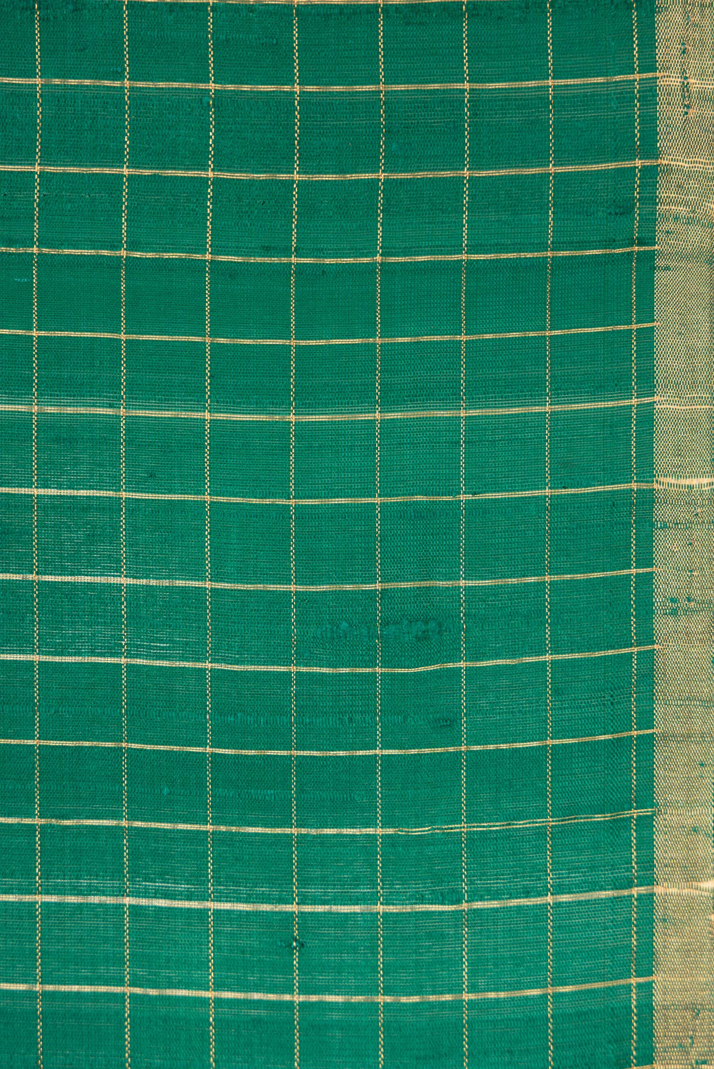 Border image of Green Dual Tone Raw Silk Saree with Checked design on the body and Thin Zari Line. 