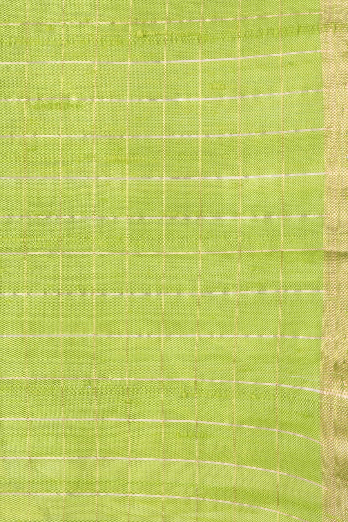 Border image of Parrot Green Dual Tone Raw Silk Saree with Checked design on the body and Thin Zari Line. 