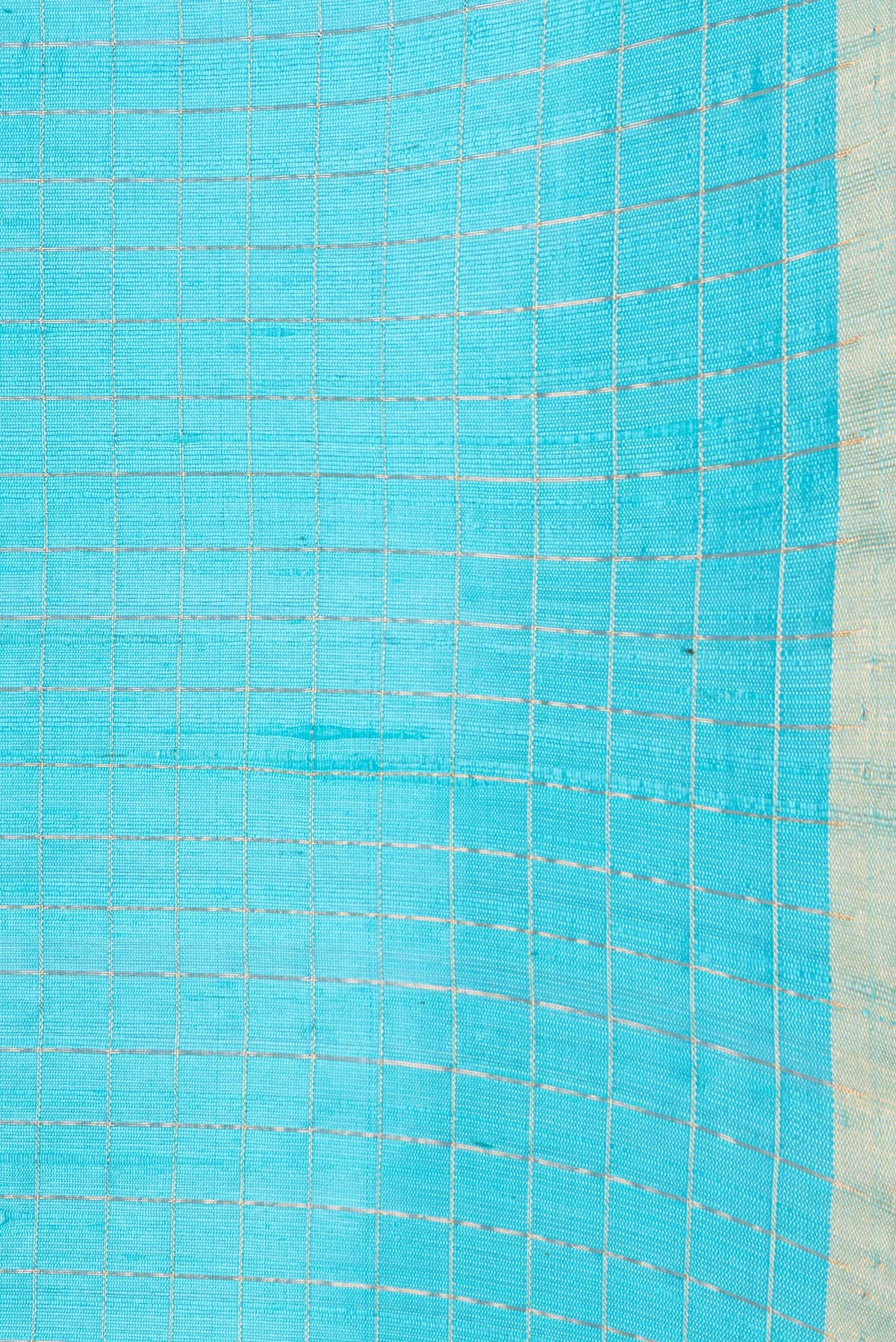 Border image of Sky Blue Dual Tone Raw Silk Saree with Checked design on the body and Zari Border. 
