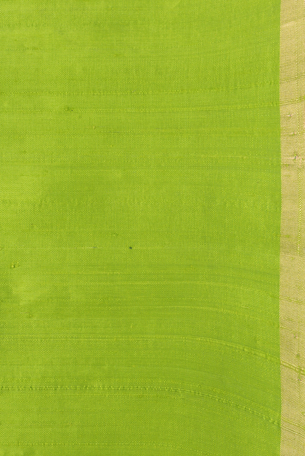 Border image of Parrot Green Dual Tone Raw Silk Saree with Plain Body and Fancy Border. 