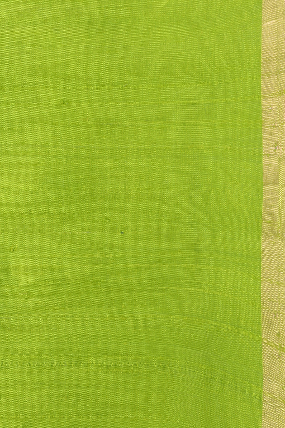 Border image of Parrot Green Dual Tone Raw Silk Saree with Plain Body and Fancy Border. 