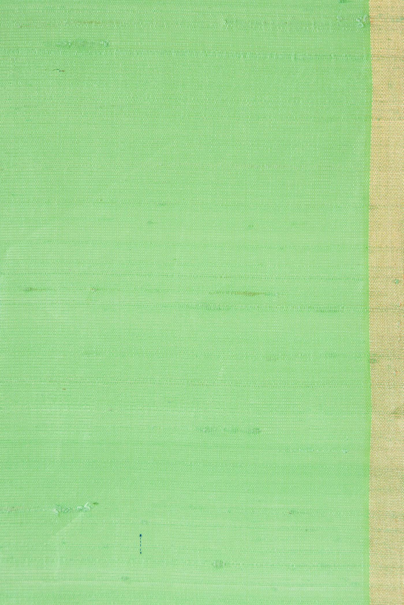 Border image of Sea Green Dual Tone Raw Silk Saree with Zari Butta on the body and Zari Border. 