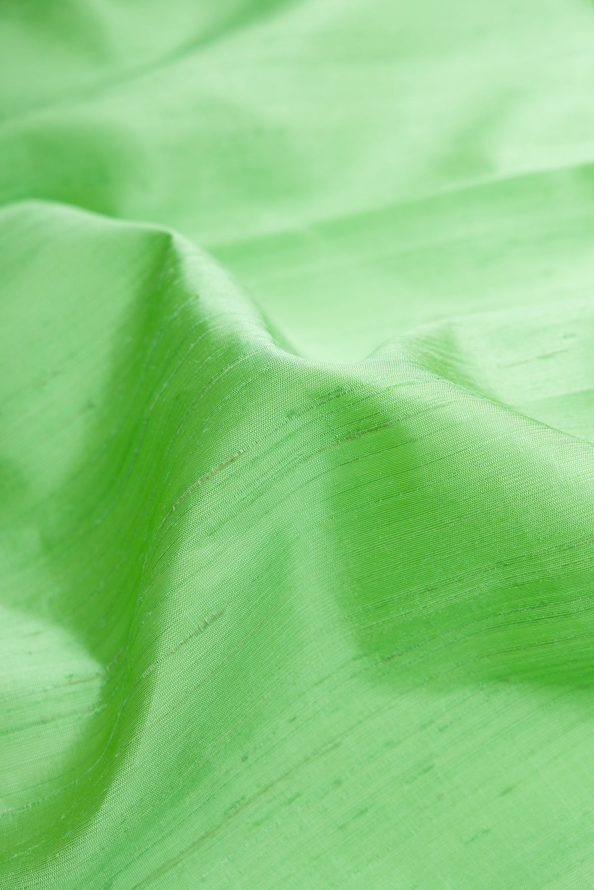 Close up of Sea Green Dual Tone Raw Silk Saree with Zari Butta on the body and Zari Border.  displaying folds
