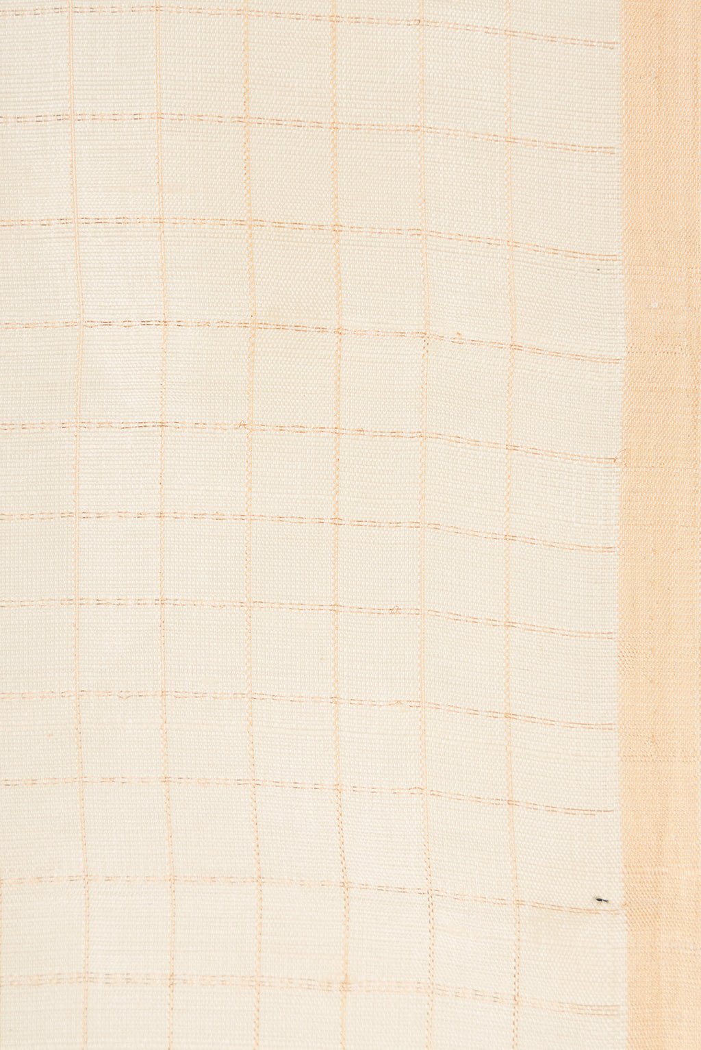 Border image of Sandal Dual Tone Raw Silk Saree with Checked design on the body and Thin Zari Line. 
