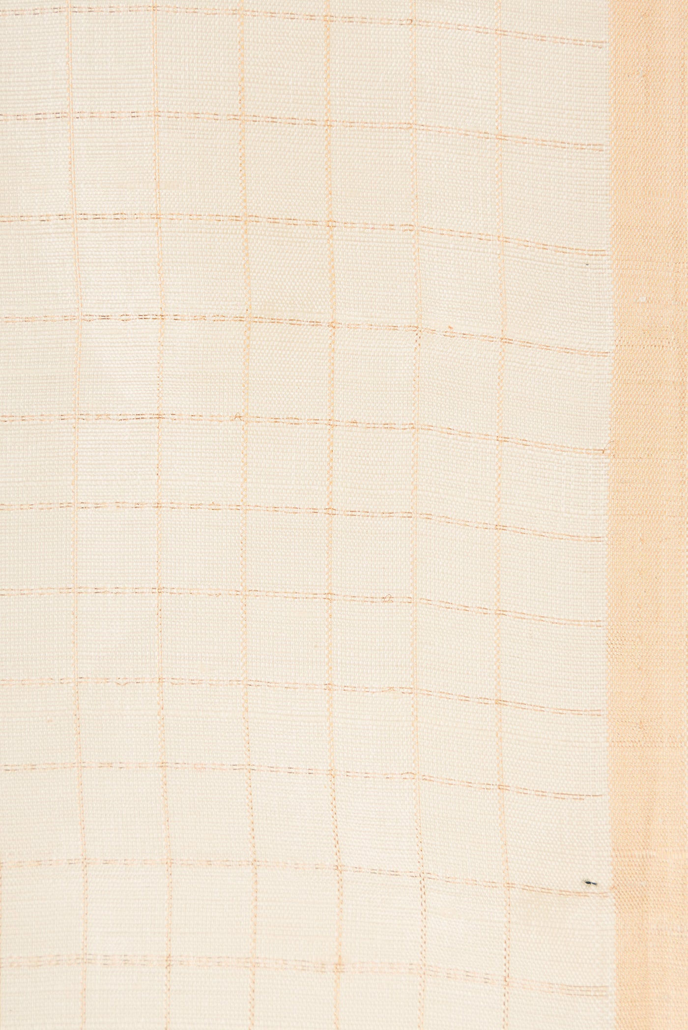 Border image of Sandal Dual Tone Raw Silk Saree with Checked design on the body and Thin Zari Line. 
