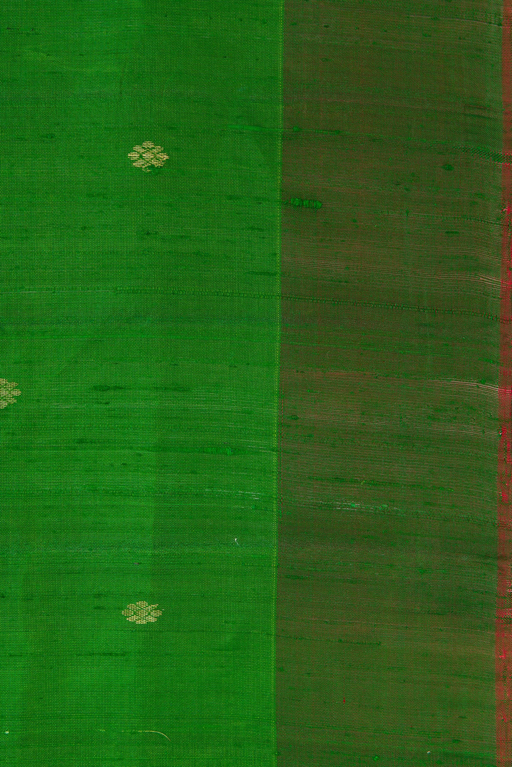 Border image of Green Dual Tone Raw Silk Saree with Zari Butta on the body and Plain Border. 