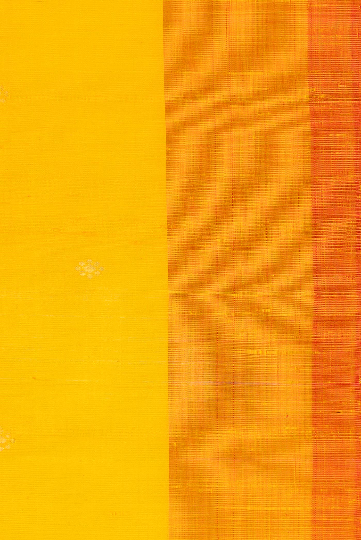 Border image of Yellow Dual Tone Raw Silk Saree with Zari Butta on the body and Plain Border. 