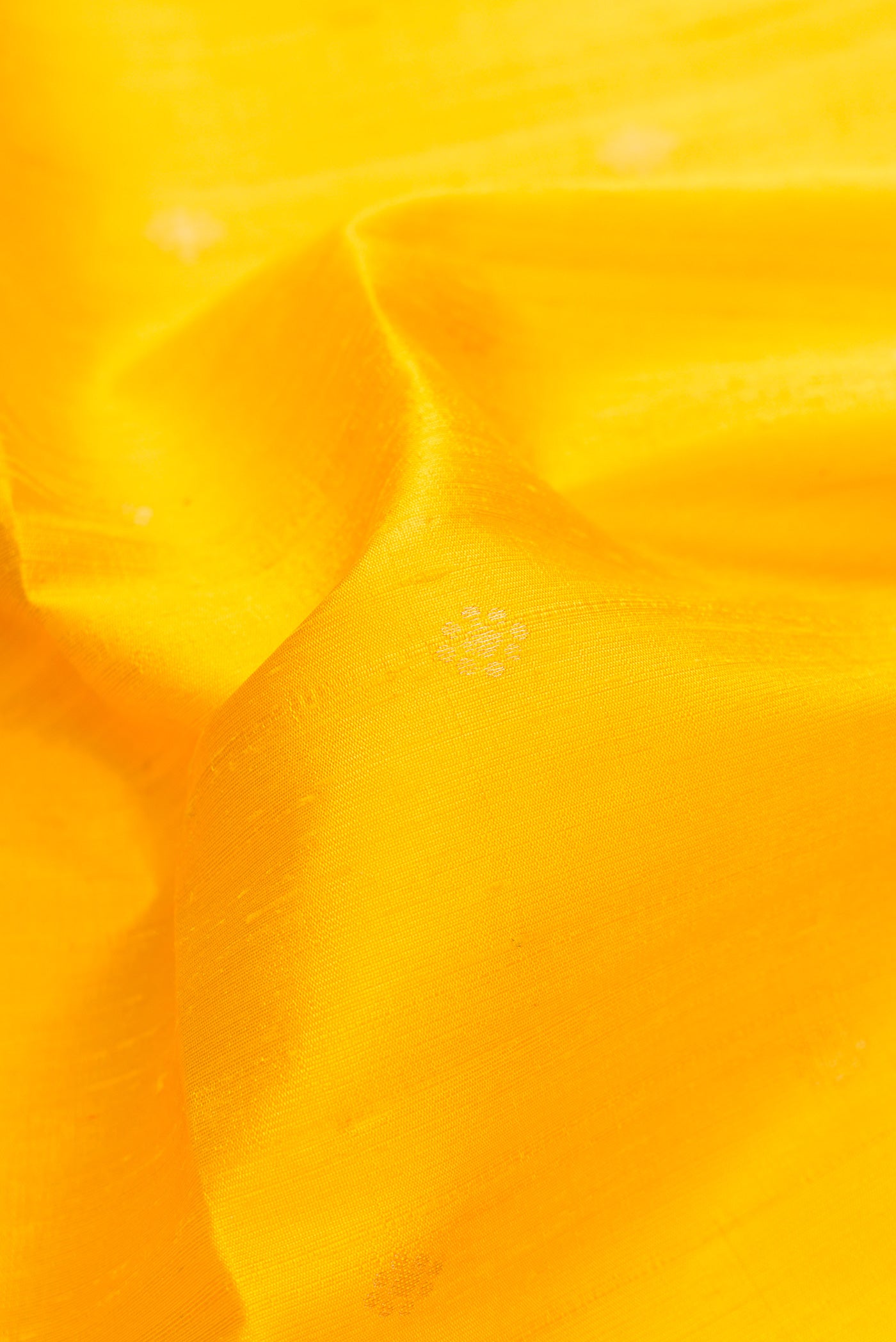 Close up of Yellow Dual Tone Raw Silk Saree with Zari Butta on the body and Plain Border.  displaying folds