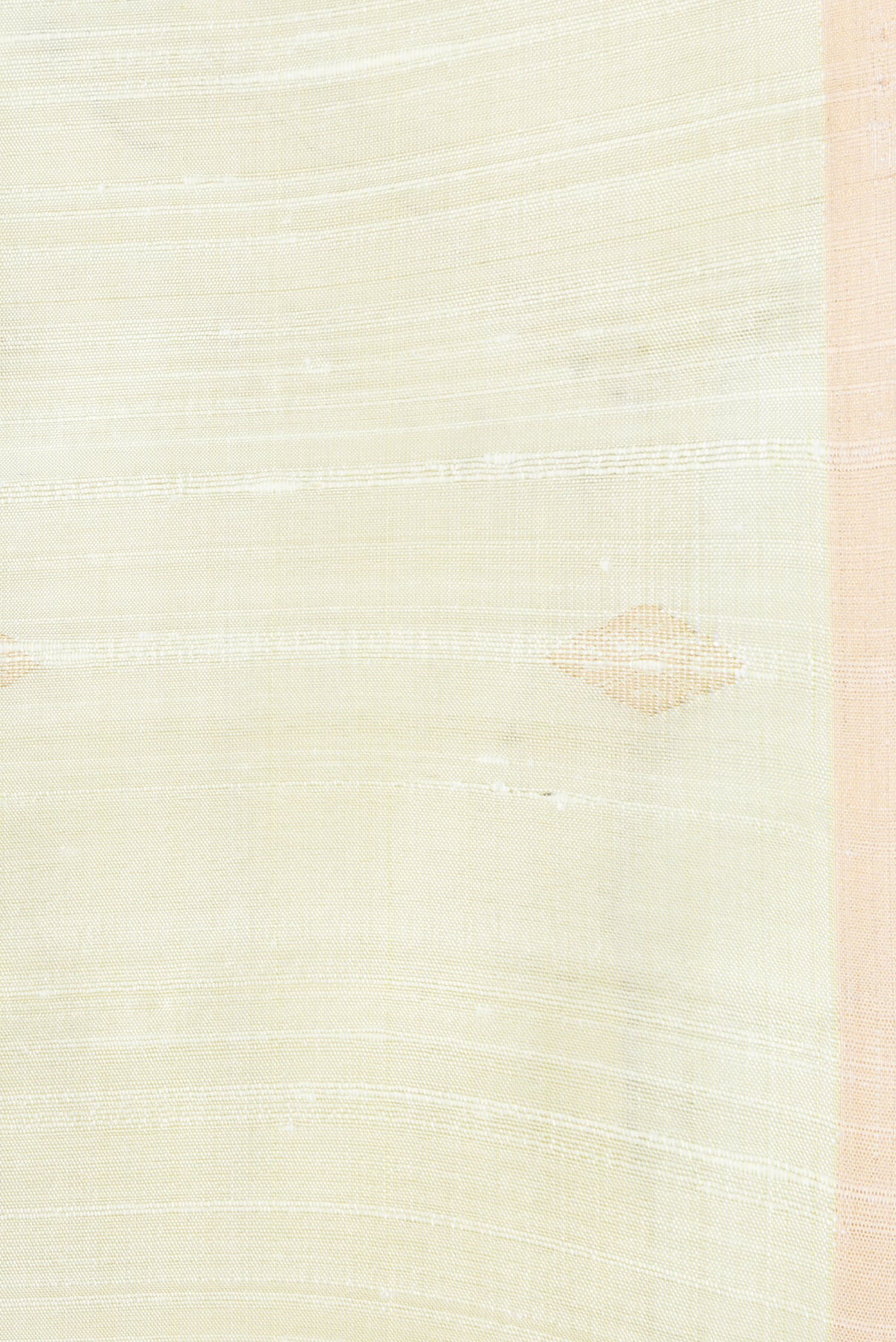 Border image of Pista Green Dual Tone Raw Silk Saree with Zari Butta on the body and Zari Border. 