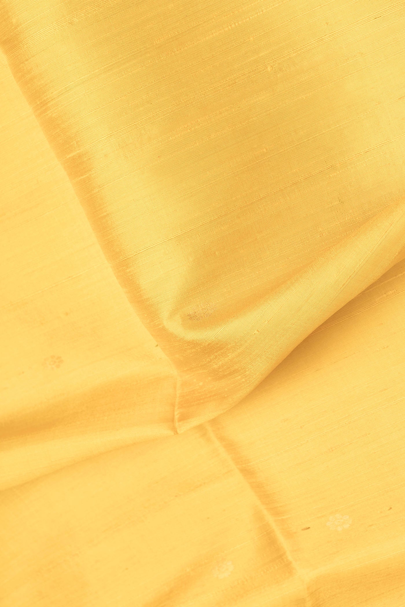Close up of Yellow Dual Tone Raw Silk Saree with Zari Butta on the body and Thin Zari Line.  displaying folds