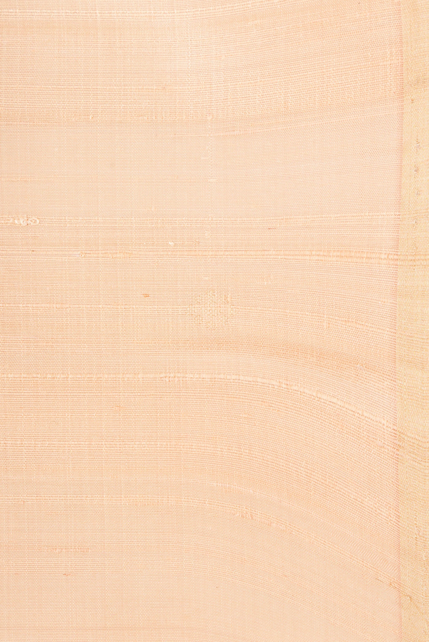 Border image of Beige Dual Tone Raw Silk Saree with Zari Butta on the body and Thin Zari Line. 