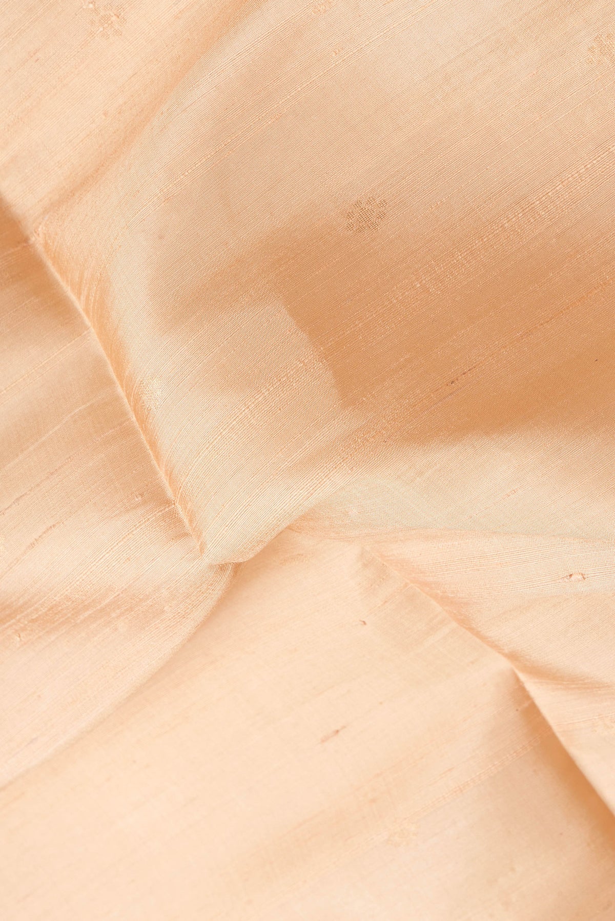 Close up of Beige Dual Tone Raw Silk Saree with Zari Butta on the body and Thin Zari Line.  displaying folds