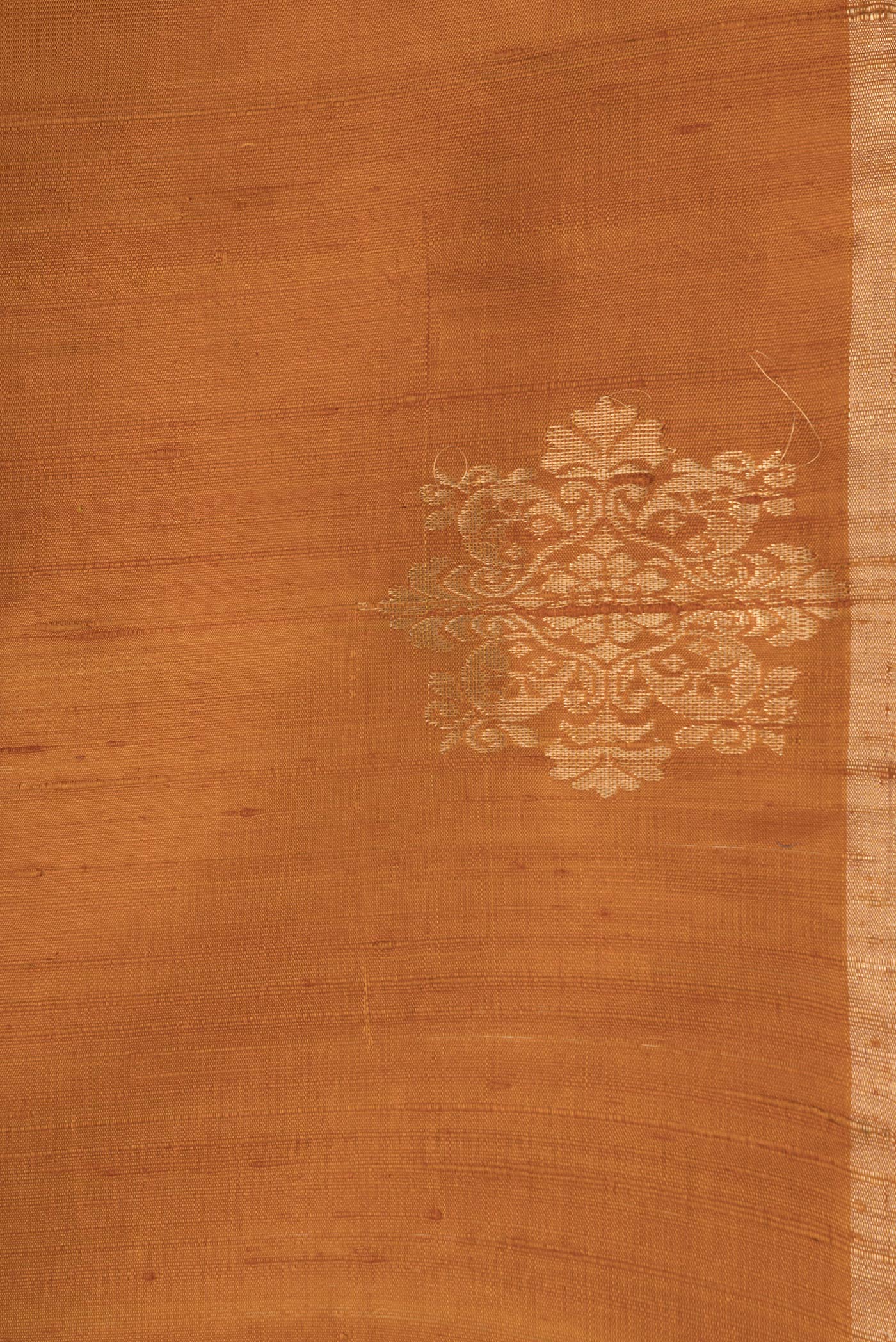 Border image of Mustard Dual Tone Raw Silk Saree with Plain Body and Fancy Border. 
