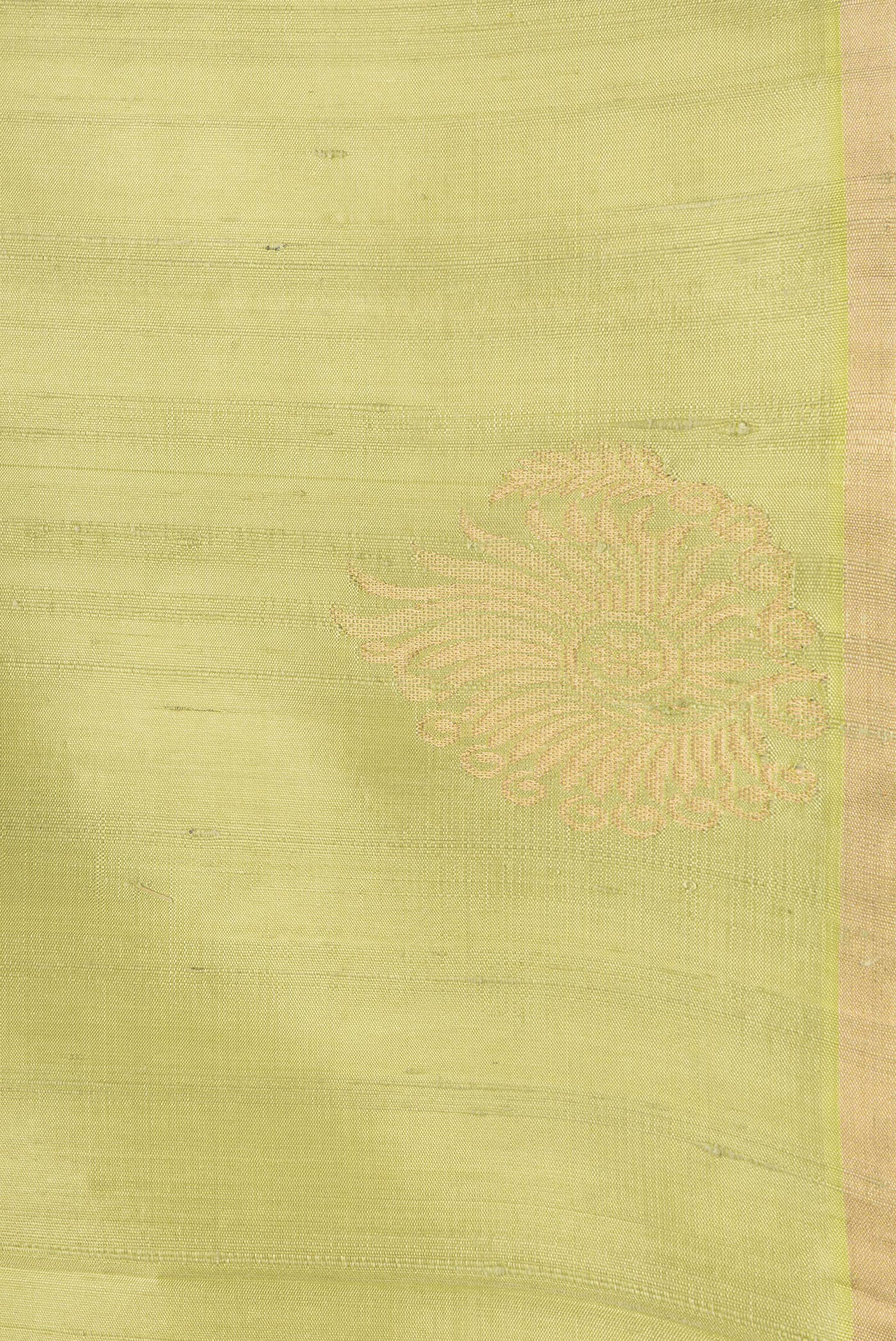 Border image of Pista Green Dual Tone Raw Silk Saree with Plain Body and Fancy Border. 