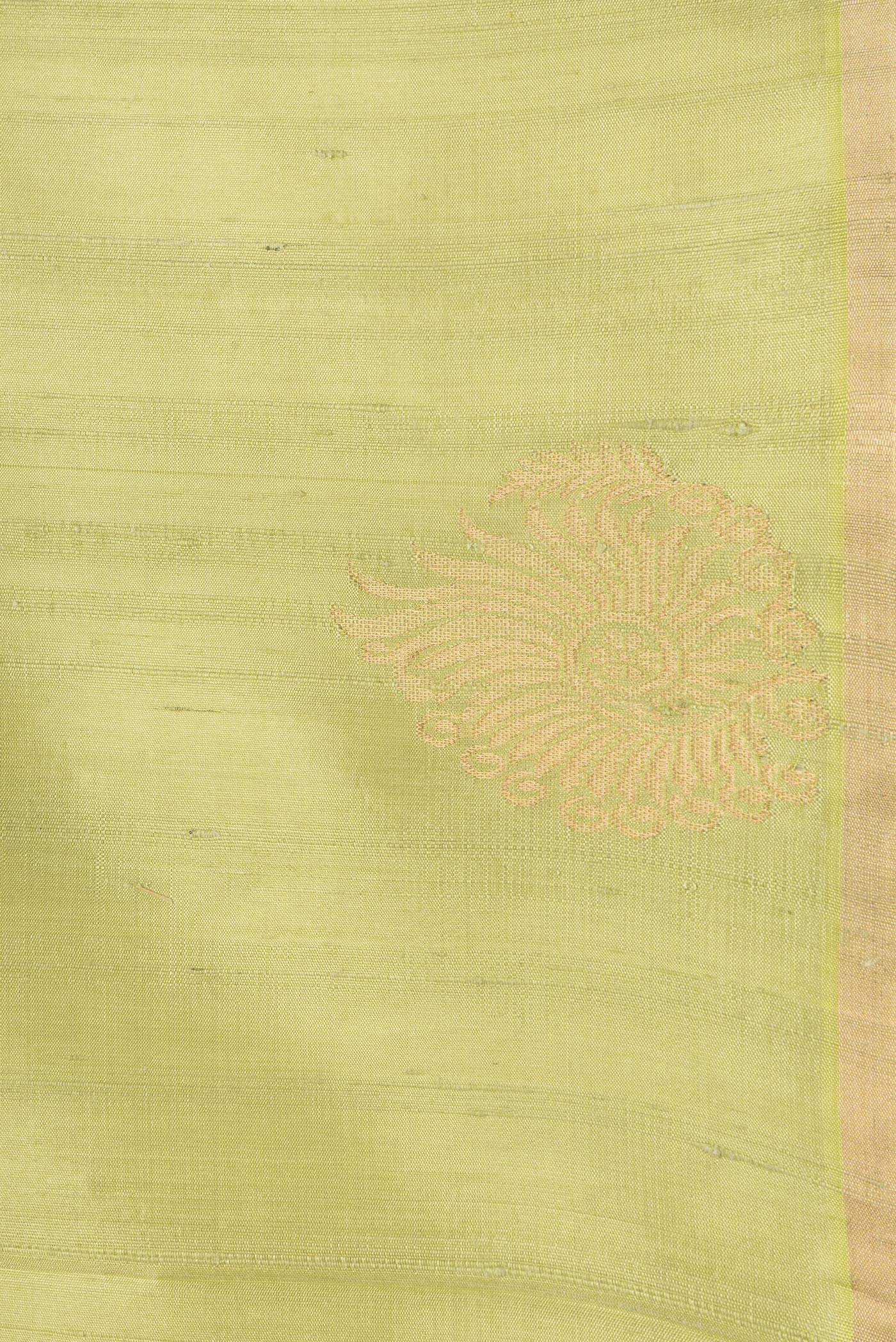 Border image of Pista Green Dual Tone Raw Silk Saree with Plain Body and Fancy Border. 