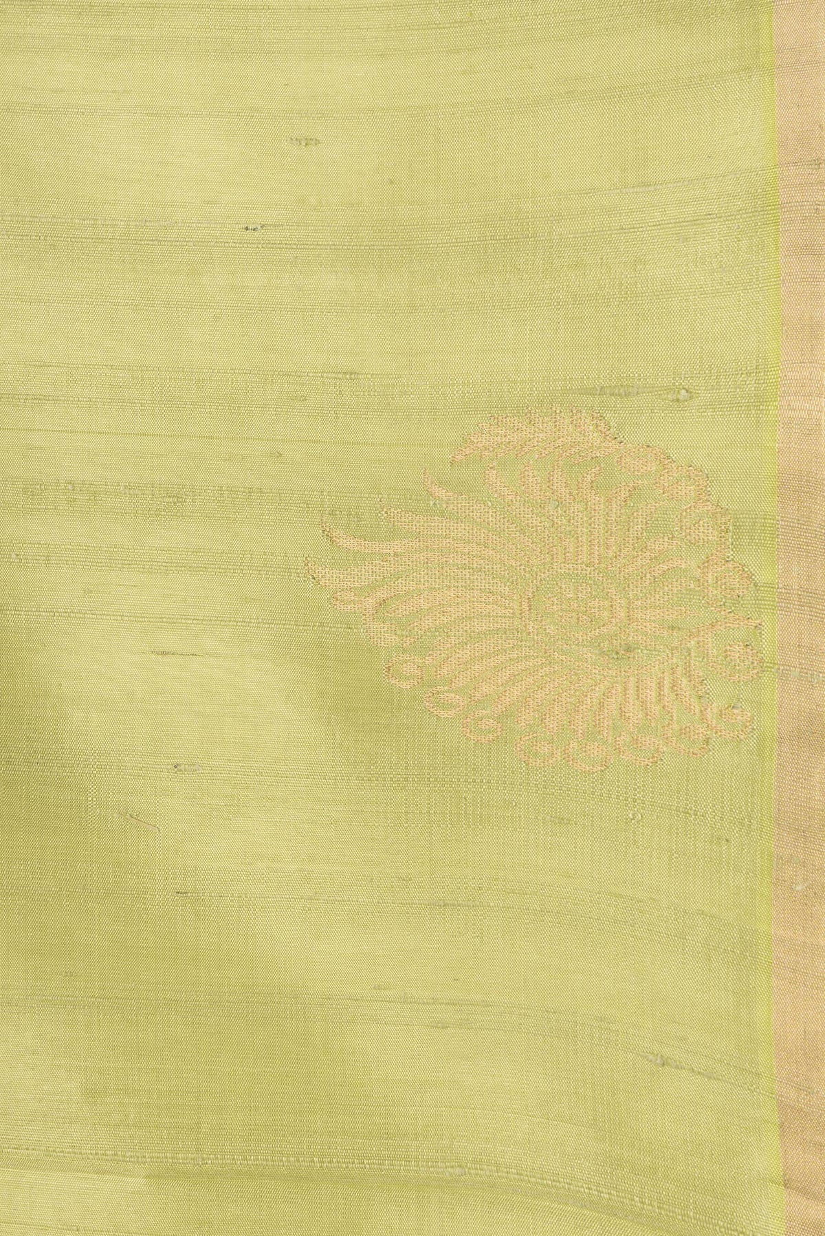 Border image of Pista Green Dual Tone Raw Silk Saree with Plain Body and Fancy Border. 