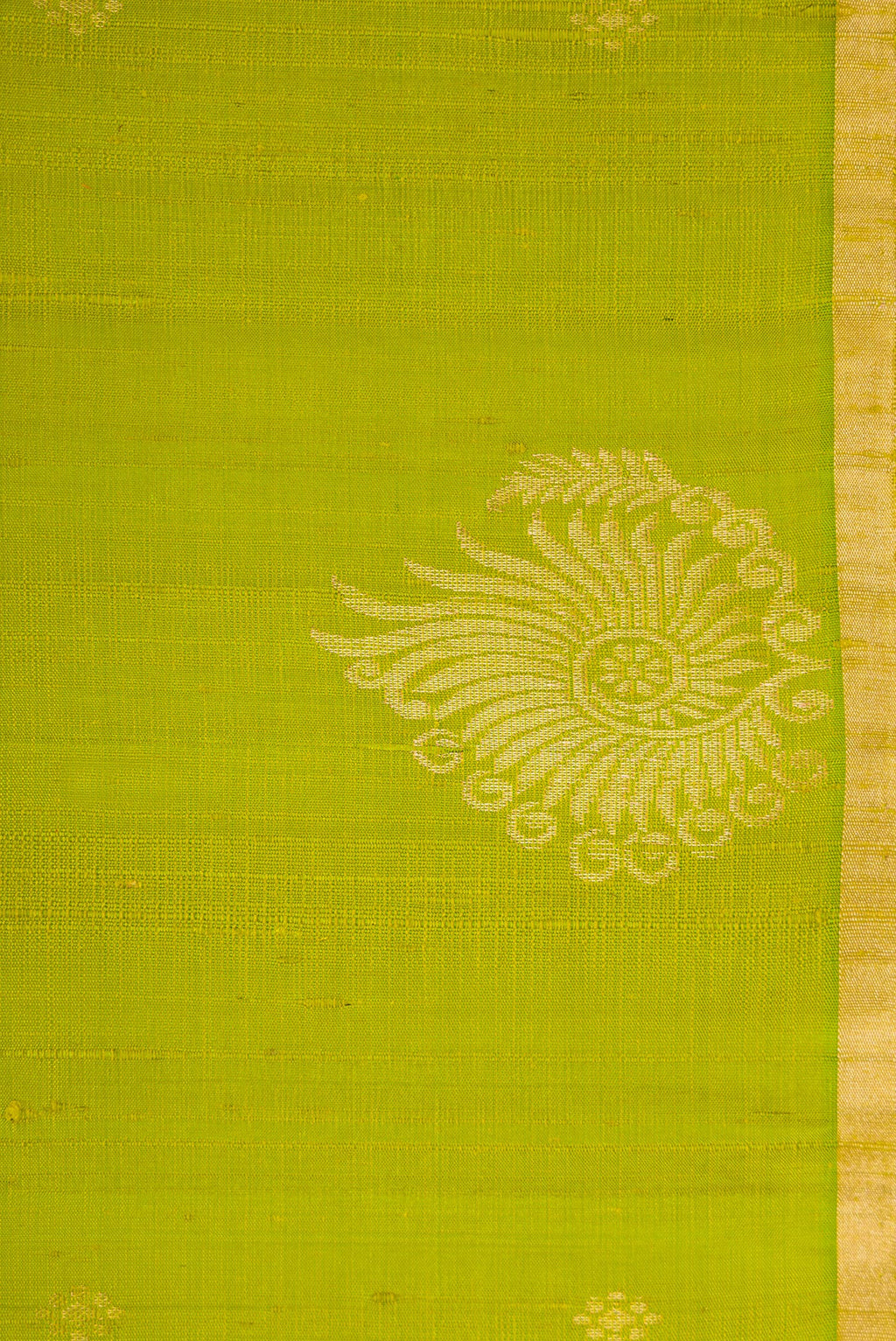 Border image of Parrot Green Dual Tone Raw Silk Saree with Zari Butta on the body and Fancy Border. 