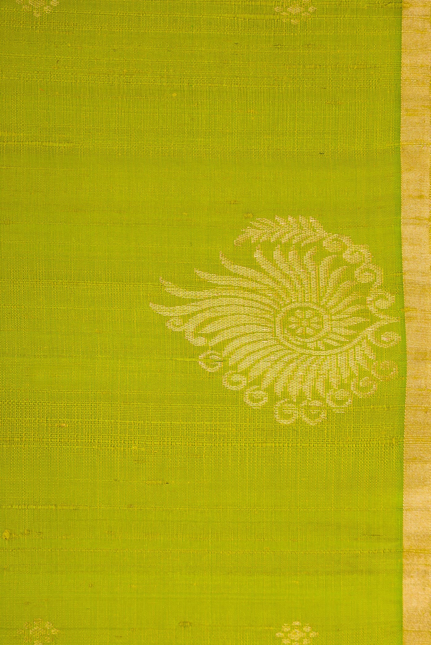 Border image of Parrot Green Dual Tone Raw Silk Saree with Zari Butta on the body and Fancy Border. 