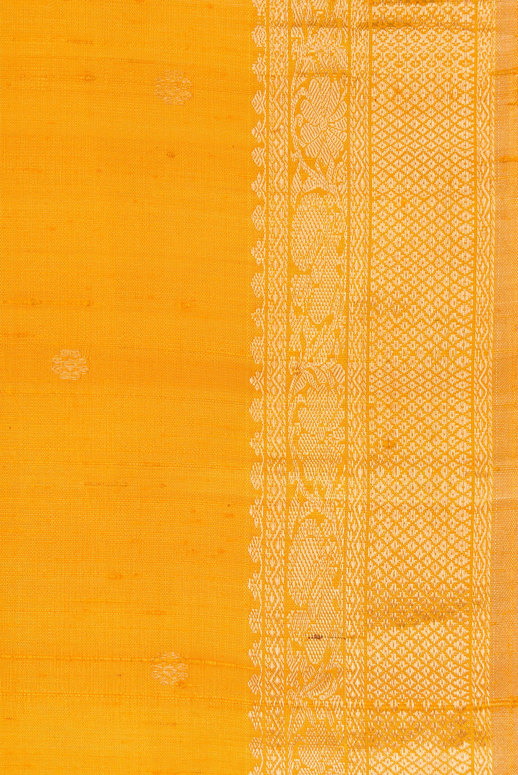 Border image of Mustard Dual Tone Raw Silk Saree with Zari Butta on the body and Zari Border. 