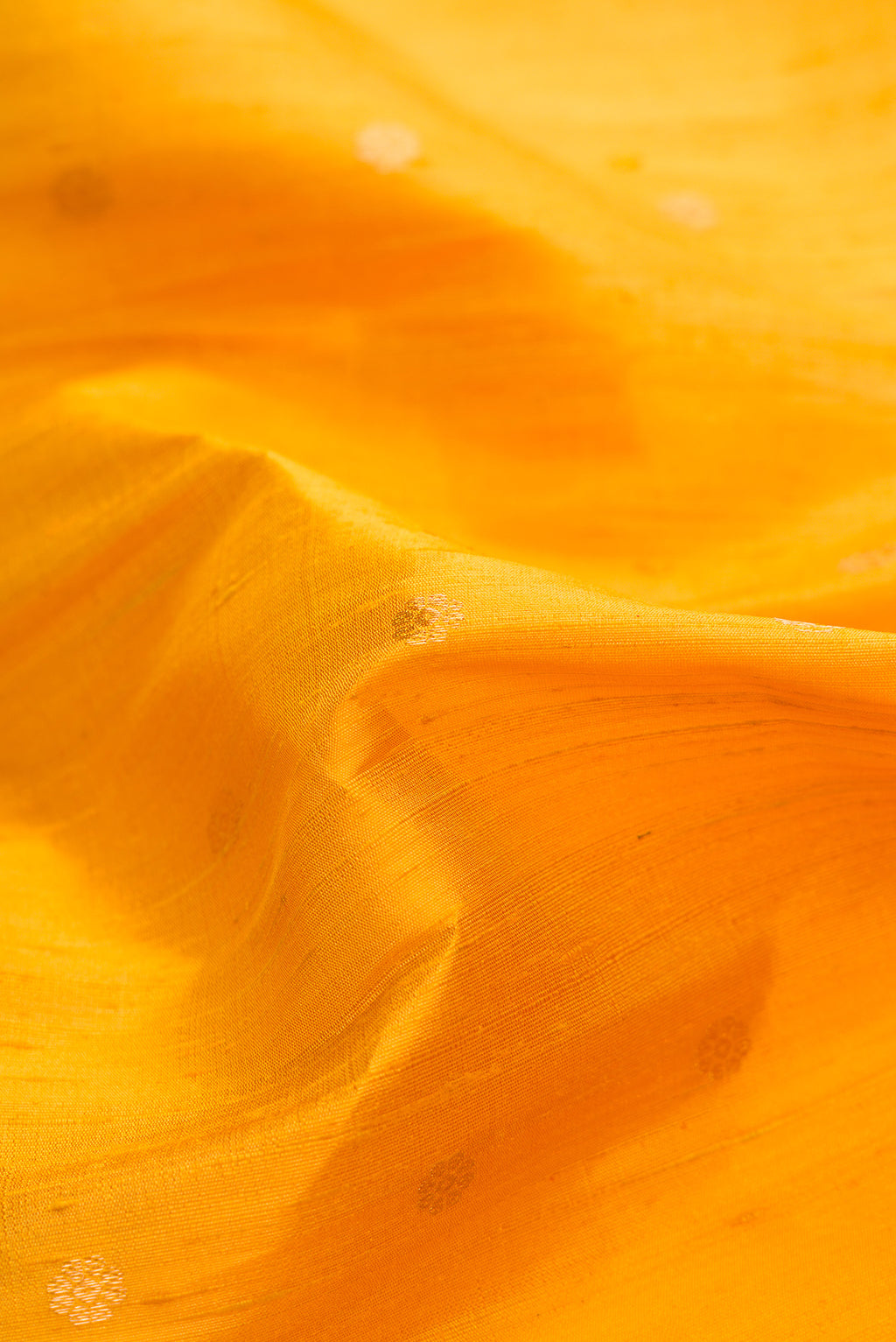 Close up of Mustard Dual Tone Raw Silk Saree with Zari Butta on the body and Zari Border.  displaying folds