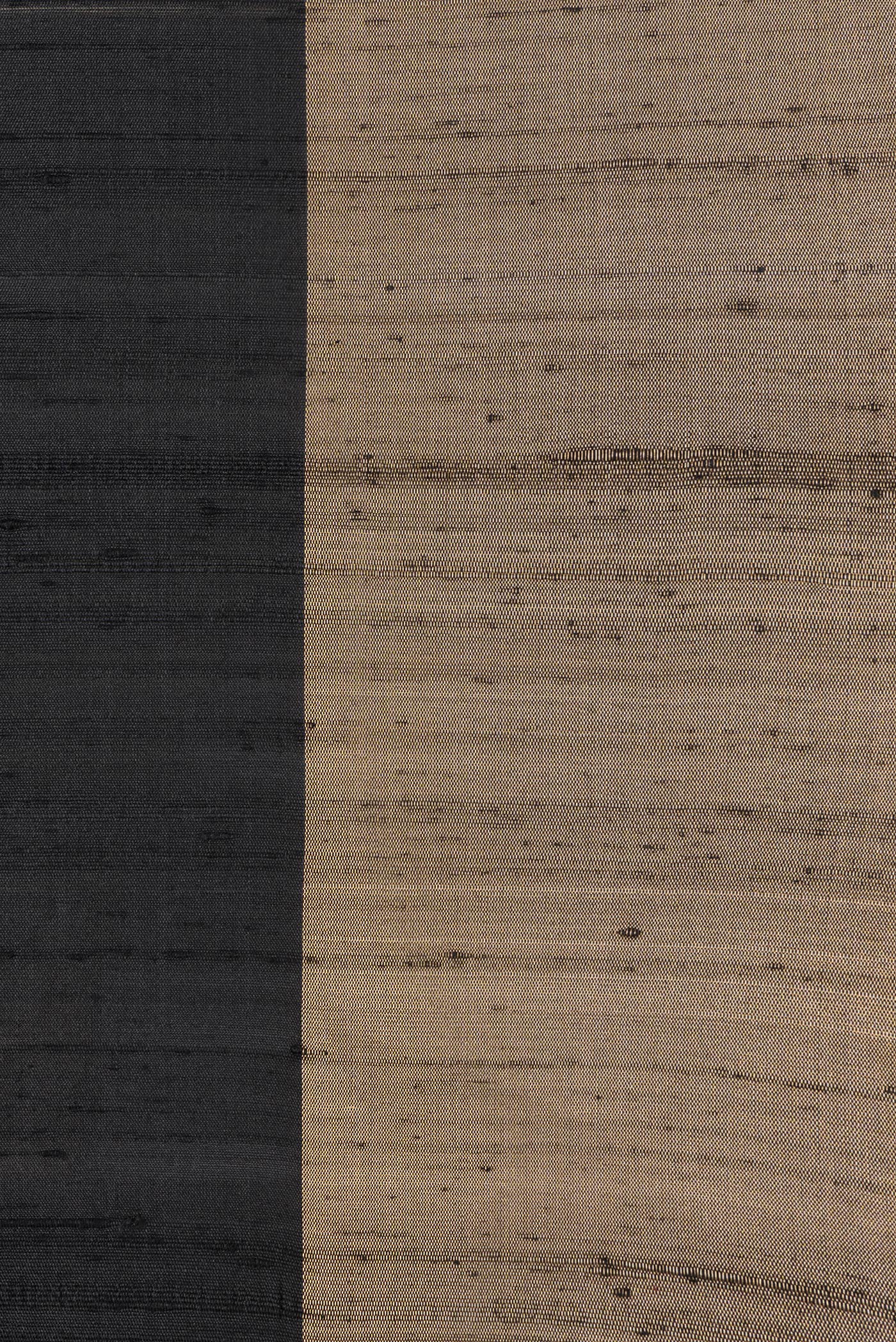 Border image of Black Dual Tone Raw Silk Saree with Plain Body and Zari Border. 