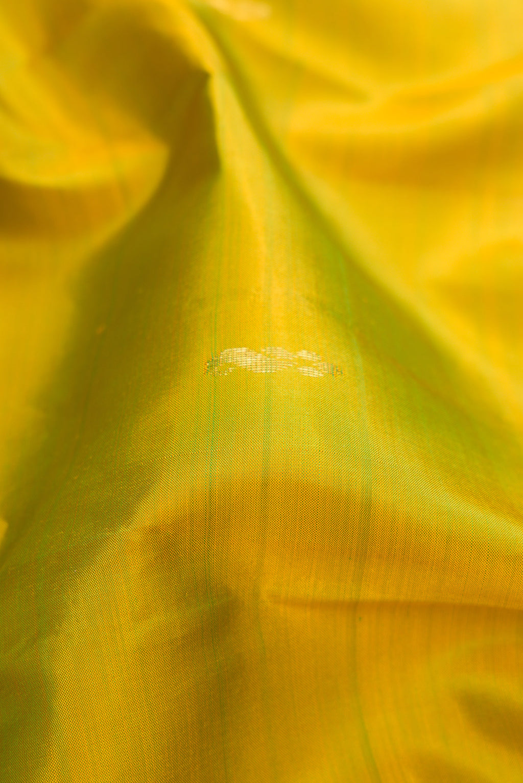 Close up of Parrot Green Kanchipuram Silk Saree with Zari Butta on the body and Zari Border.  displaying folds