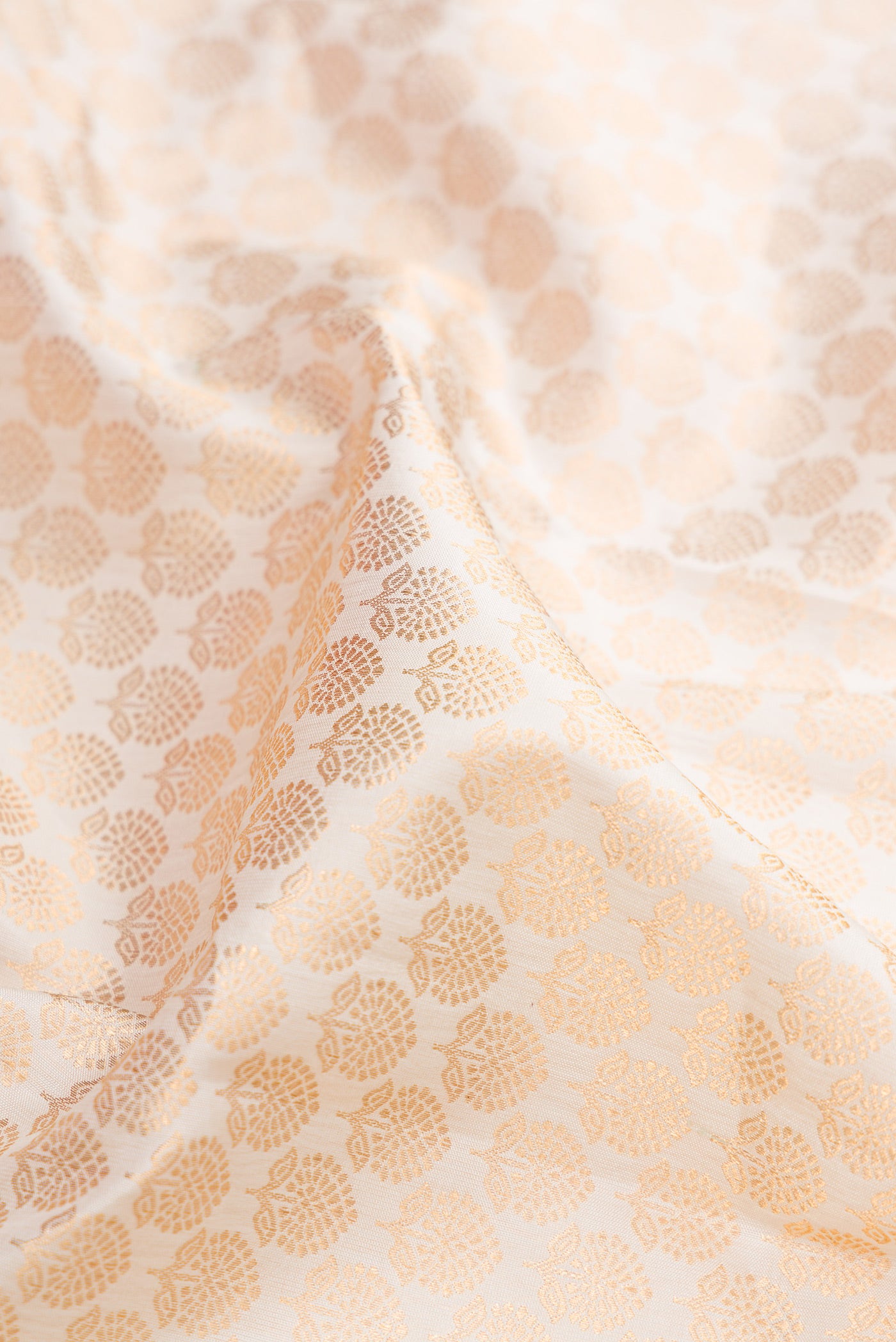 Close up of Off White Kanjivaram Silk Saree with Zari Brocade on the body and Zari Border.  displaying folds