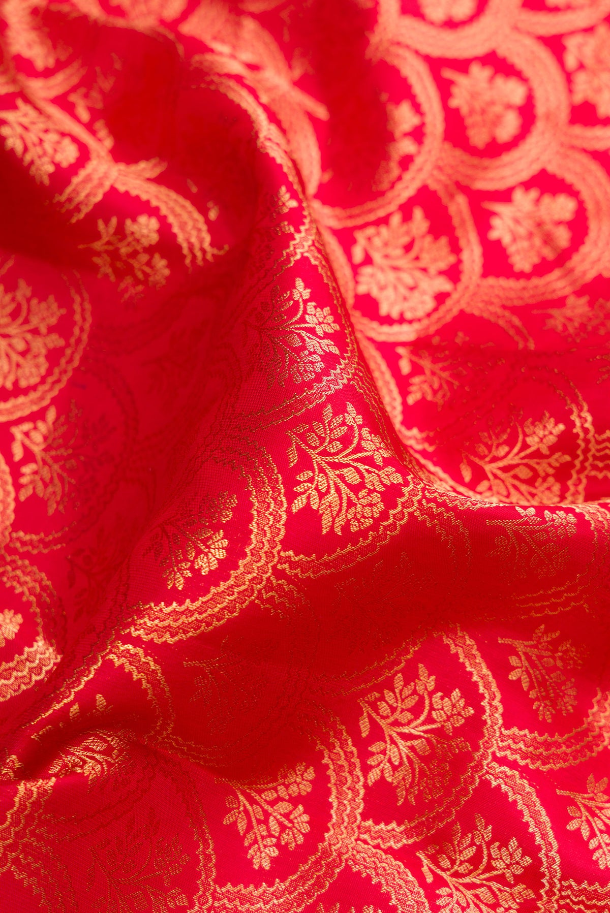 Close up of Red Kanjivaram Silk Saree with Zari Brocade on the body and Zari Border.  displaying folds