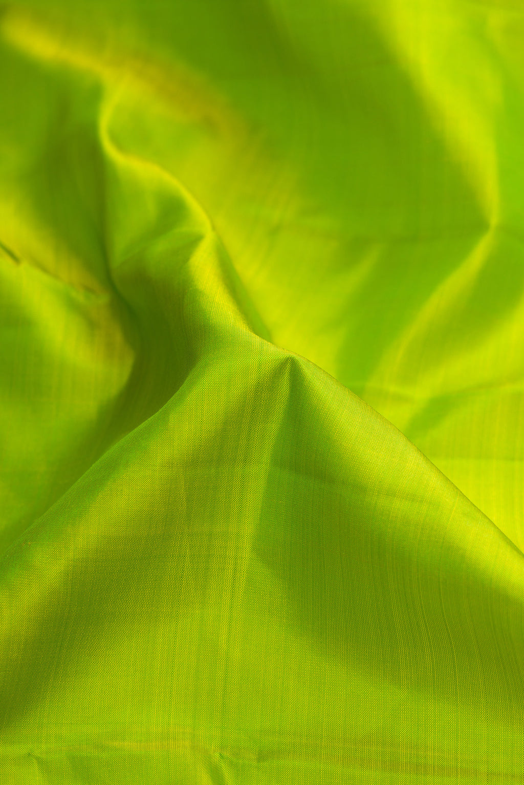 Close up of Parrot Green Dual Tone Kanjivaram Silk Saree with Plain Body and Zari Border.  displaying folds