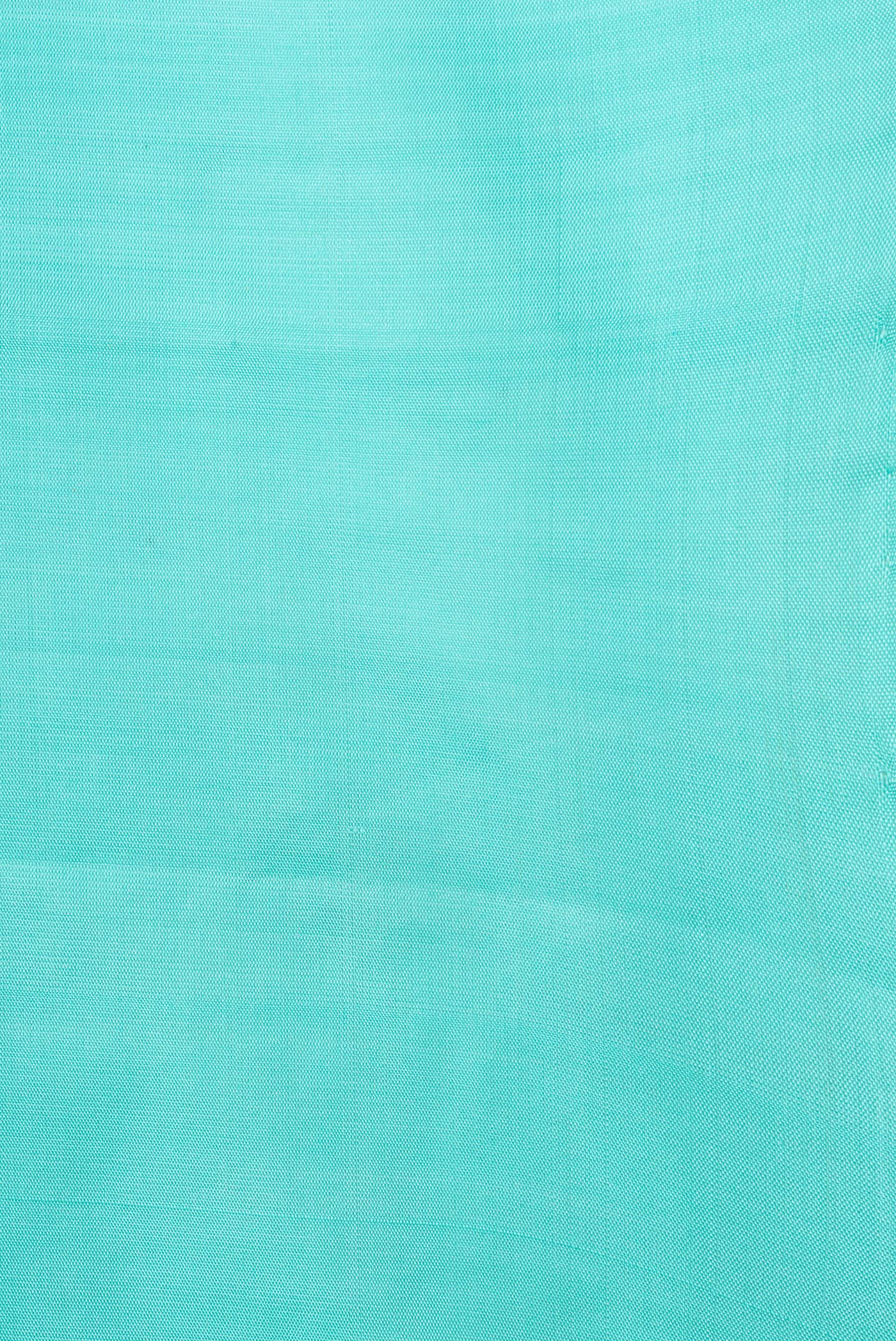 Border image of Sky Blue Dual Tone Soft Silk Saree with Zari Butta on the body and Without Border. 