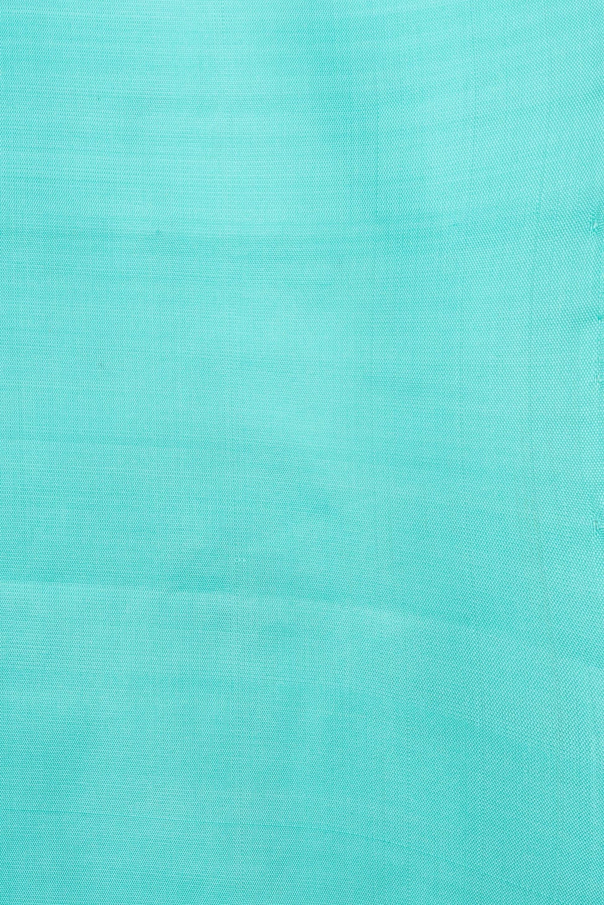 Border image of Sky Blue Dual Tone Soft Silk Saree with Zari Butta on the body and Without Border. 