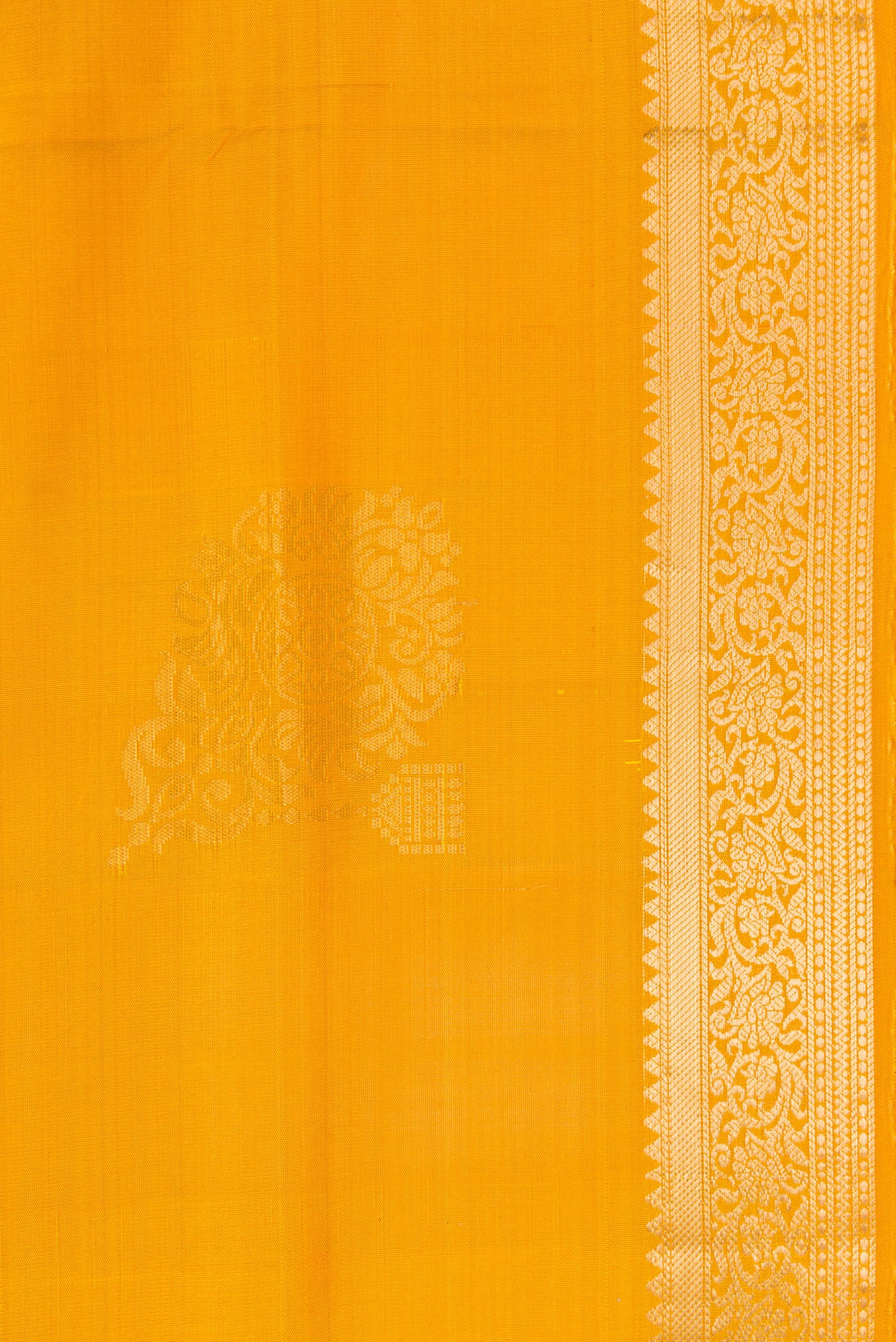 Border image of Mustard Dual Tone Soft Silk Saree with Zari Butta on the body and Zari Border. 