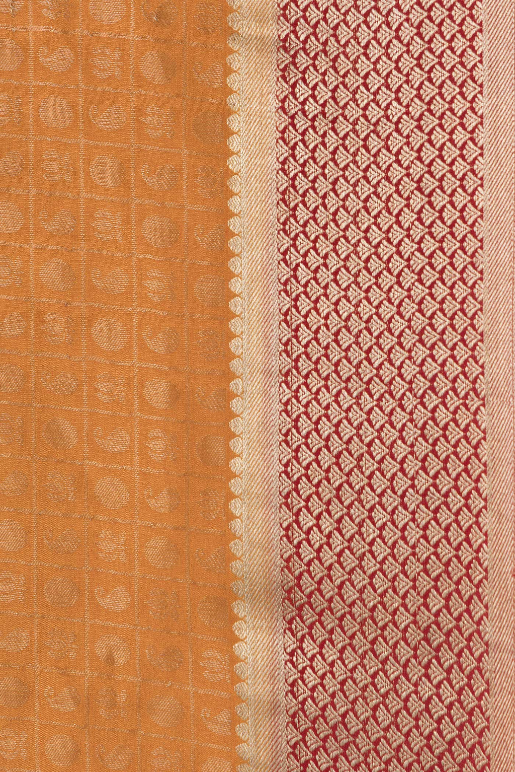 Border image of Mustard Dual Tone Tussar Silk Saree with Zari Brocade on the body and Zari Border. 