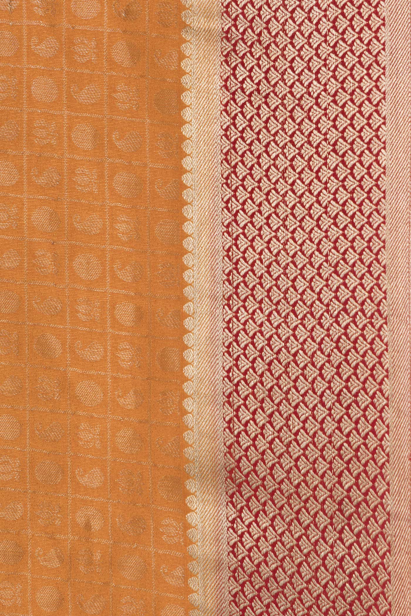 Border image of Mustard Dual Tone Tussar Silk Saree with Zari Brocade on the body and Zari Border. 